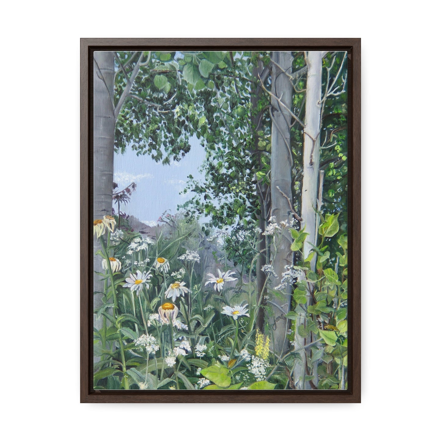Quakies and Daisies by Jane Autry, Canvas Gallery Wrap