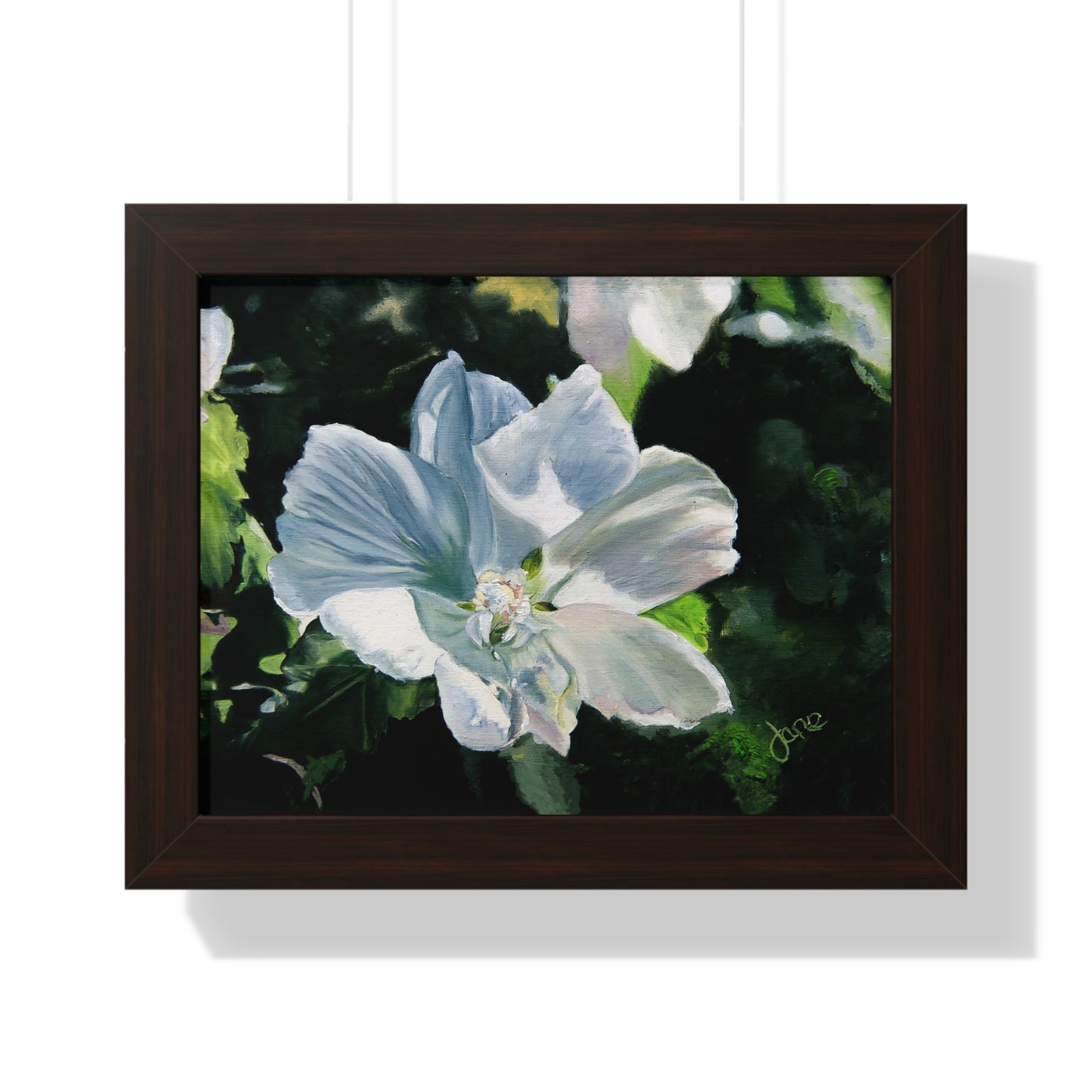 Premium Matte Print--Framed, White Rose of Sharon by Jane Autry