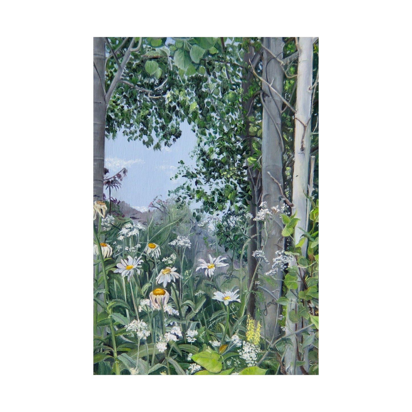 Quakies and Daisies by Jane Autry, Premium Matte Paper Print