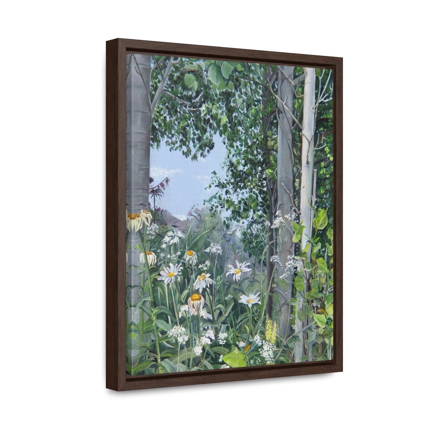 Quakies and Daisies by Jane Autry, Canvas Gallery Wrap