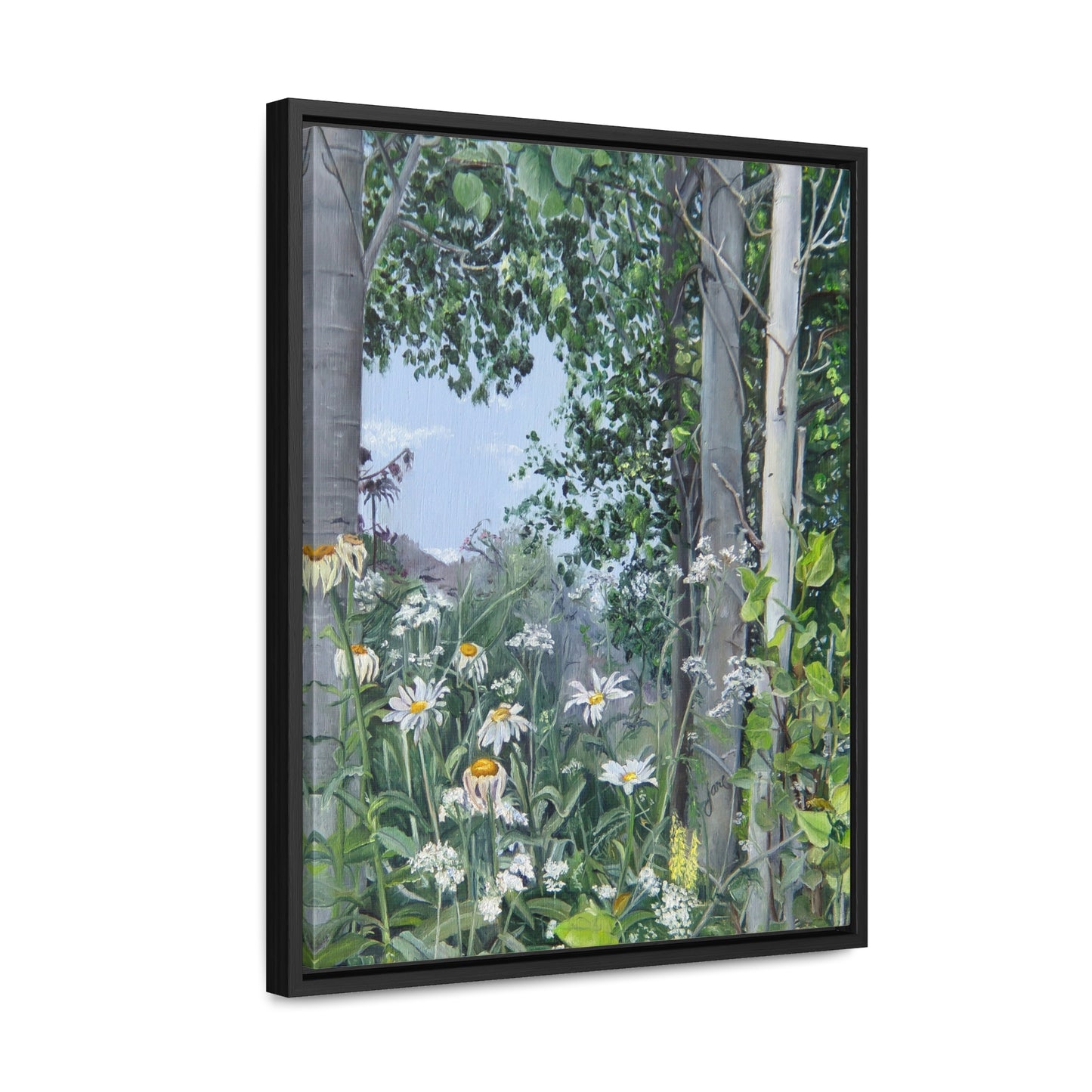 Quakies and Daisies by Jane Autry, Canvas Gallery Wrap