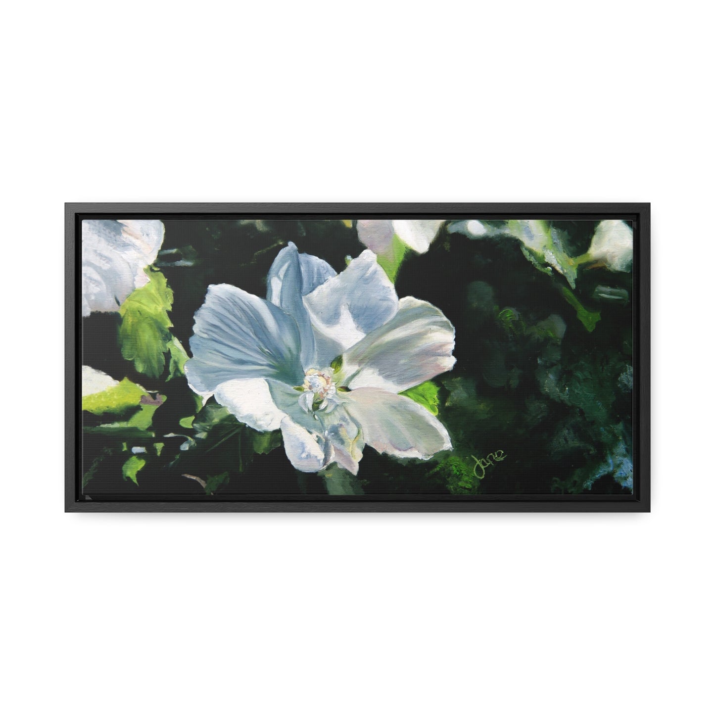 Stretched Canvas Wrap in Wood Frame, White Rose of Sharon by Jane Autry