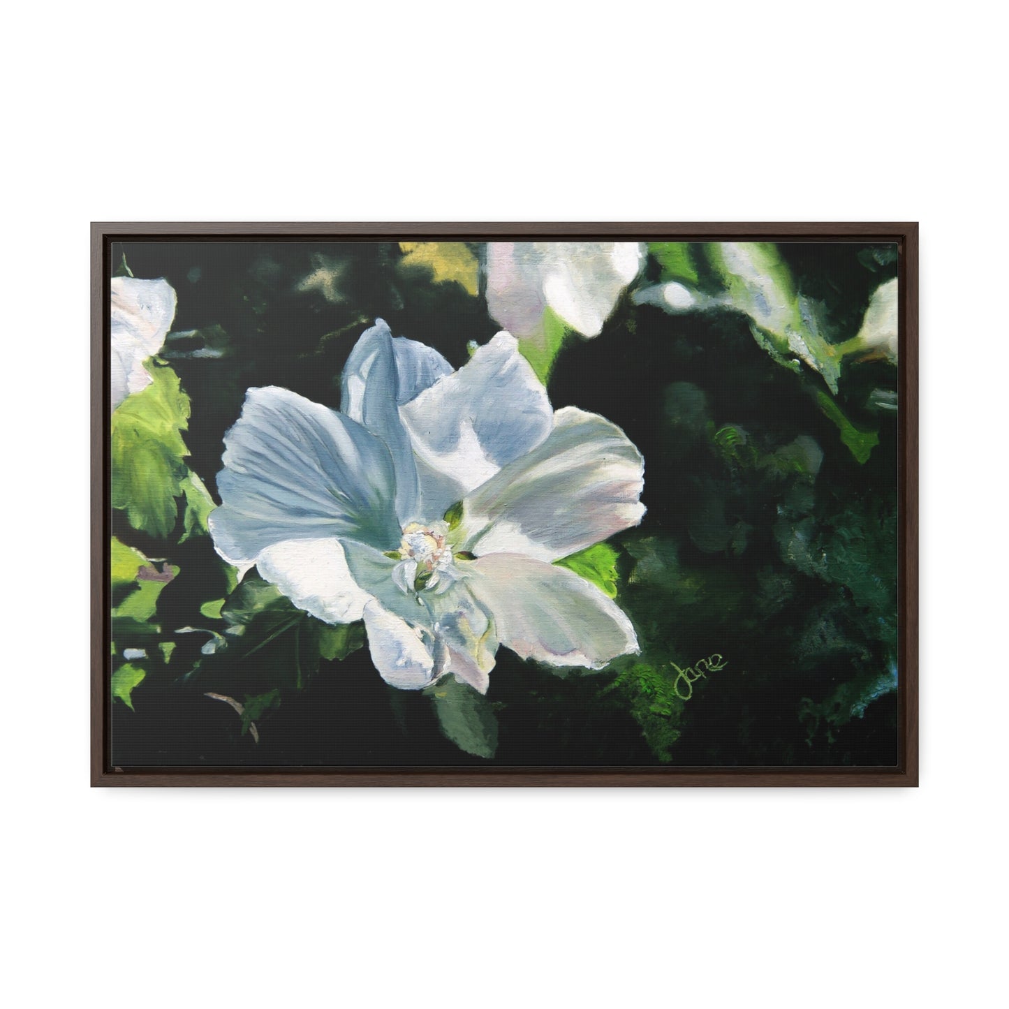 Stretched Canvas Wrap in Wood Frame, White Rose of Sharon by Jane Autry