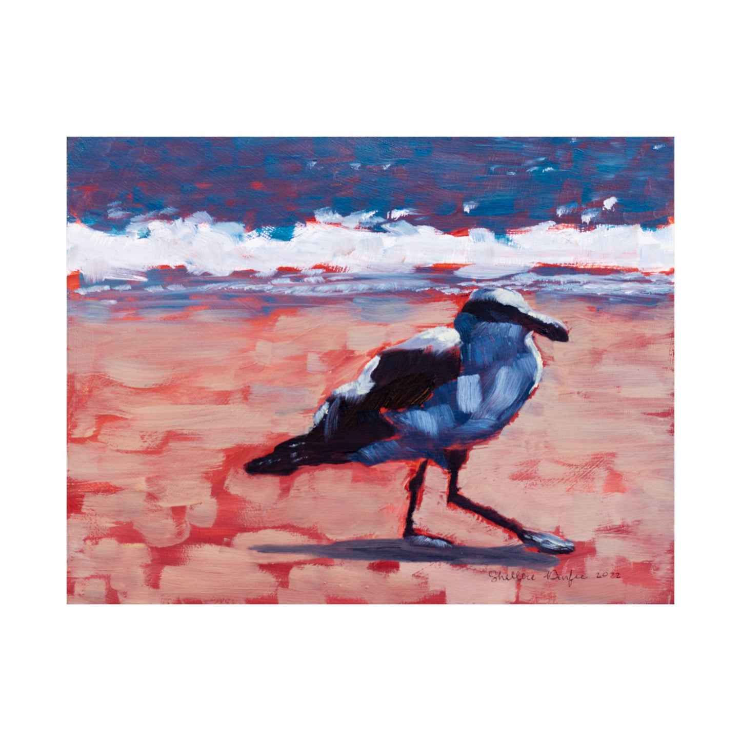 Premium Matte Print, Seagull, by Shellece Durfee