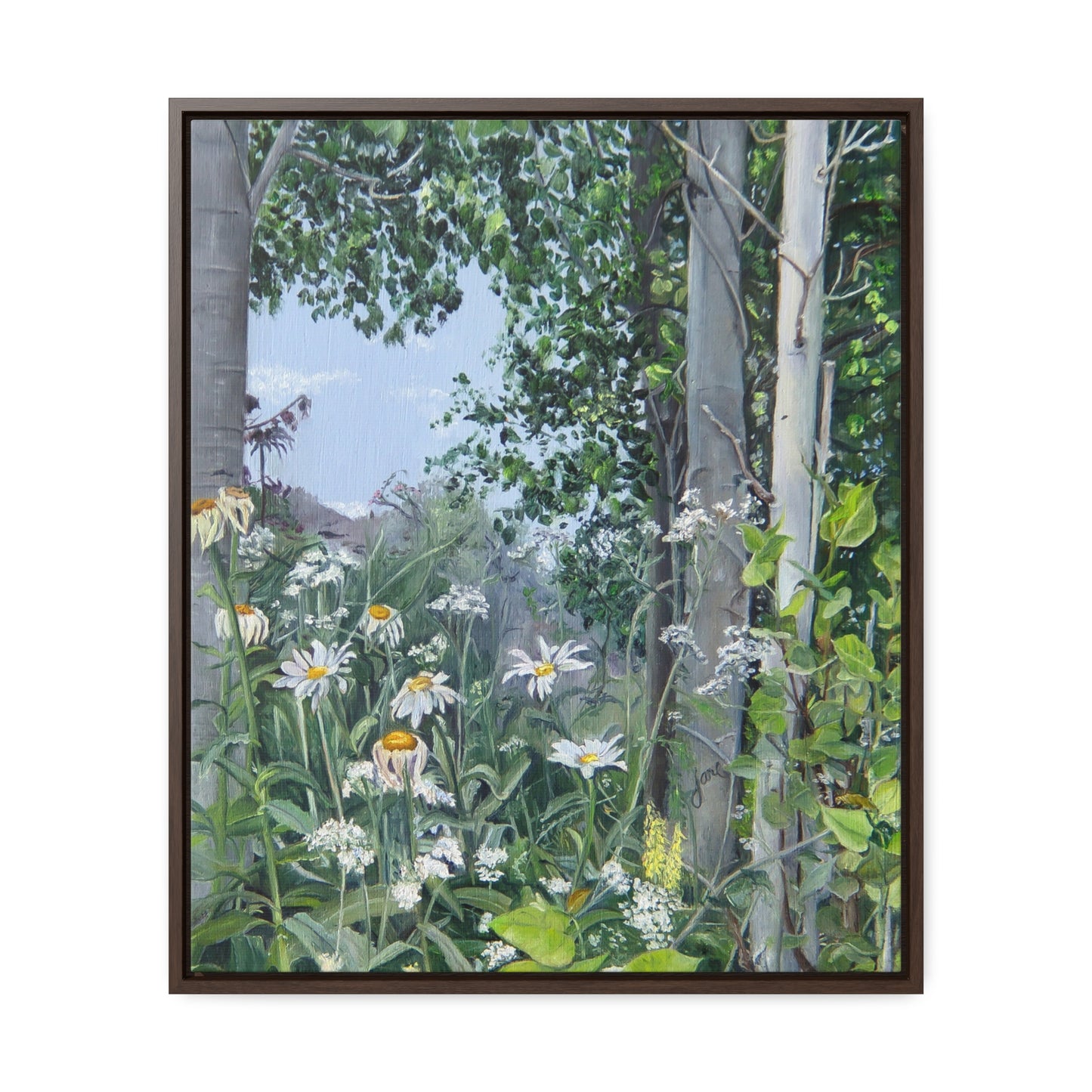 Quakies and Daisies by Jane Autry, Canvas Gallery Wrap