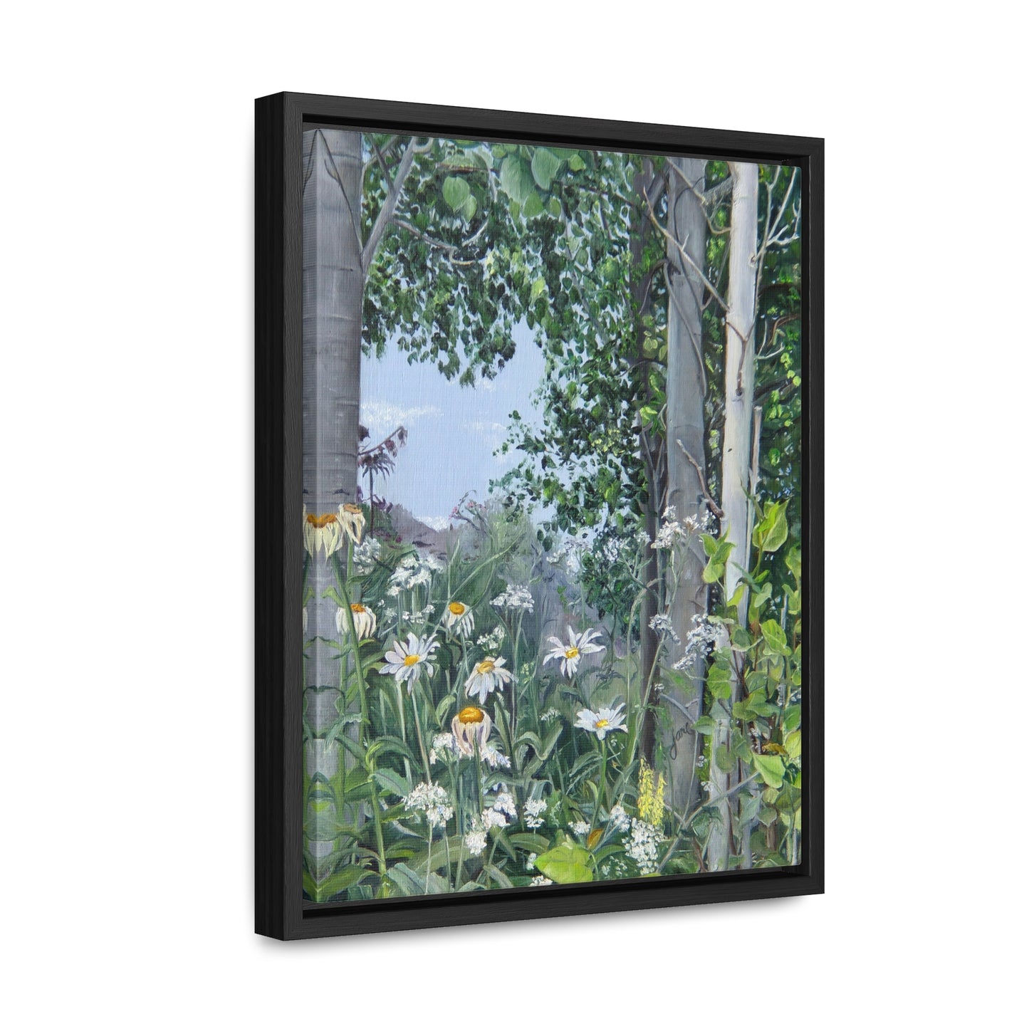 Quakies and Daisies by Jane Autry, Canvas Gallery Wrap
