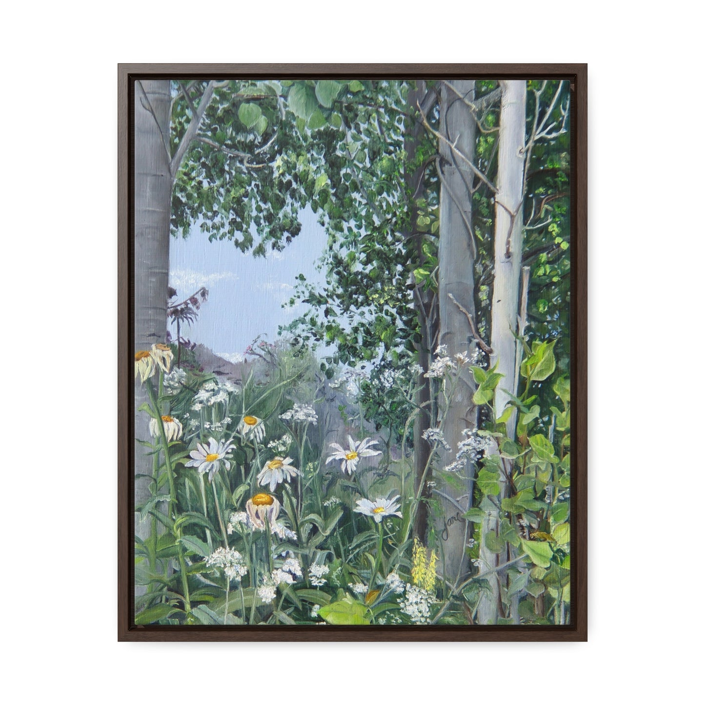 Quakies and Daisies by Jane Autry, Canvas Gallery Wrap