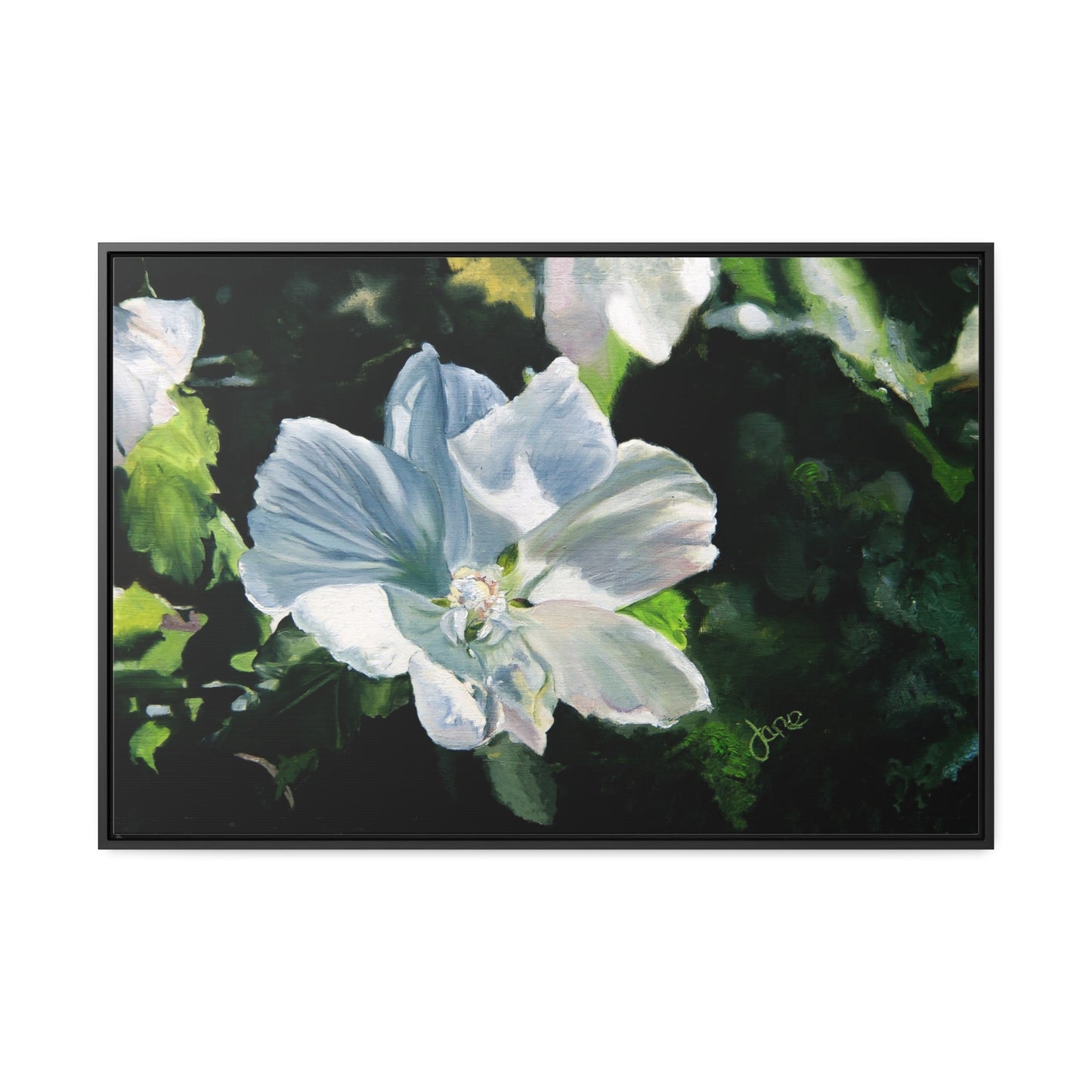 Stretched Canvas Wrap in Wood Frame, White Rose of Sharon by Jane Autry