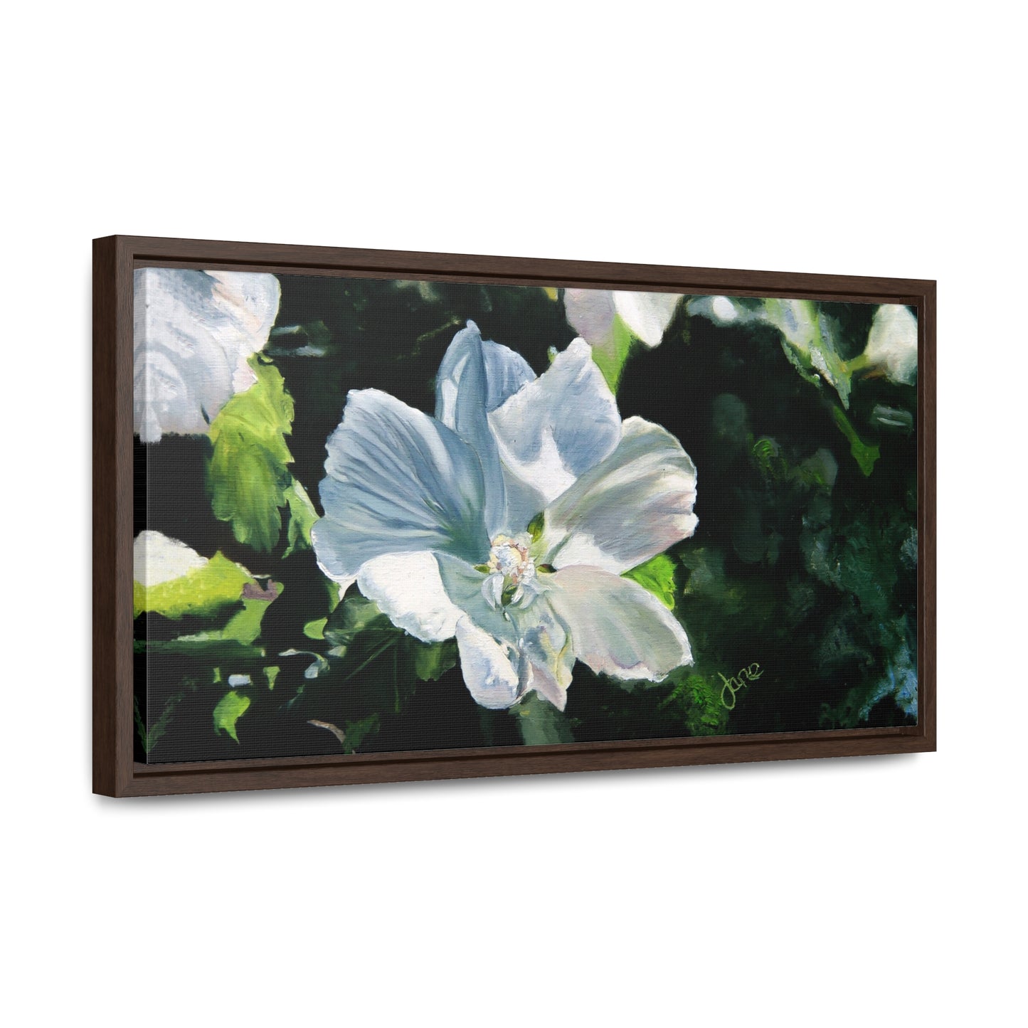 Stretched Canvas Wrap in Wood Frame, White Rose of Sharon by Jane Autry