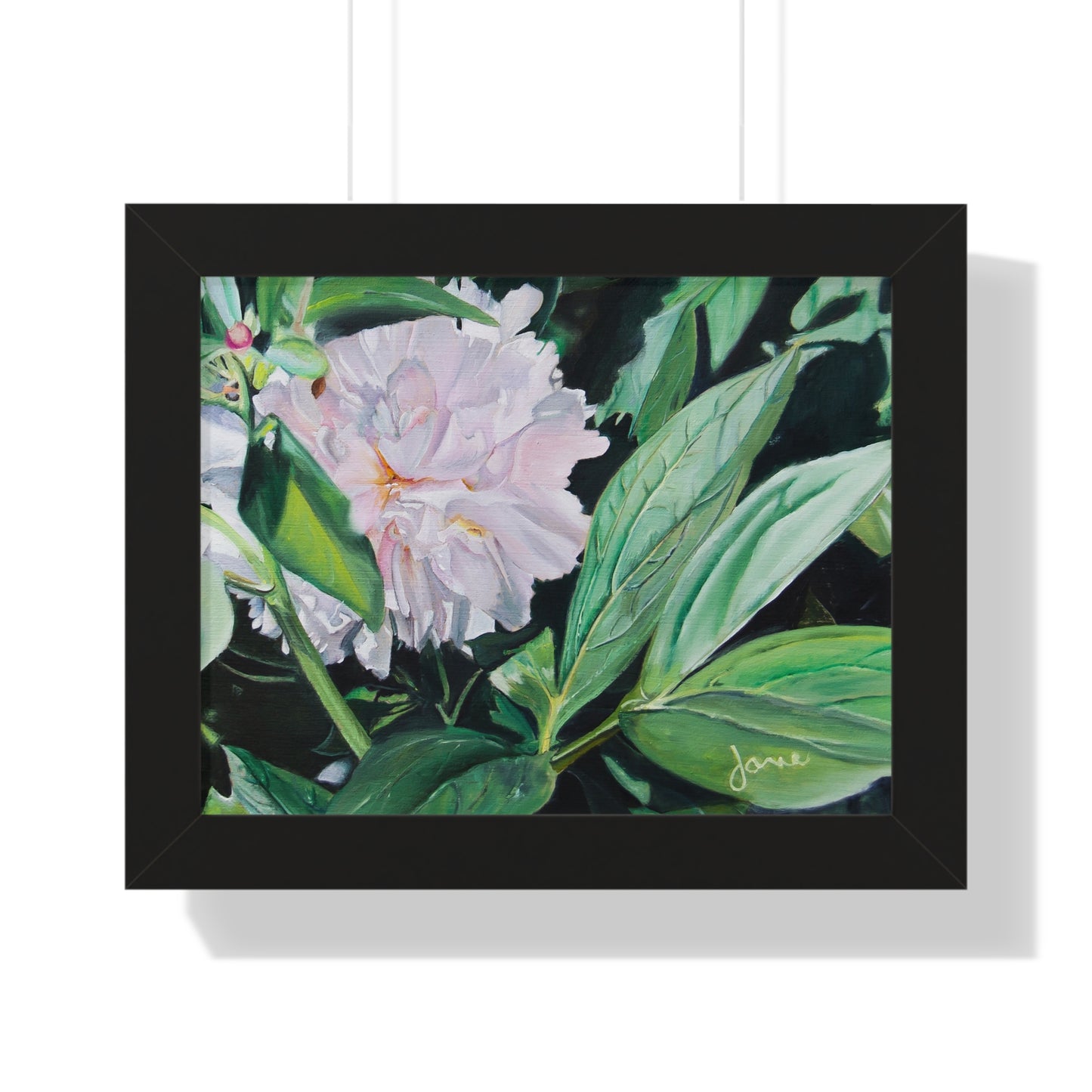 Premium Matte Print--Framed, Shy Peone by Jane Autry