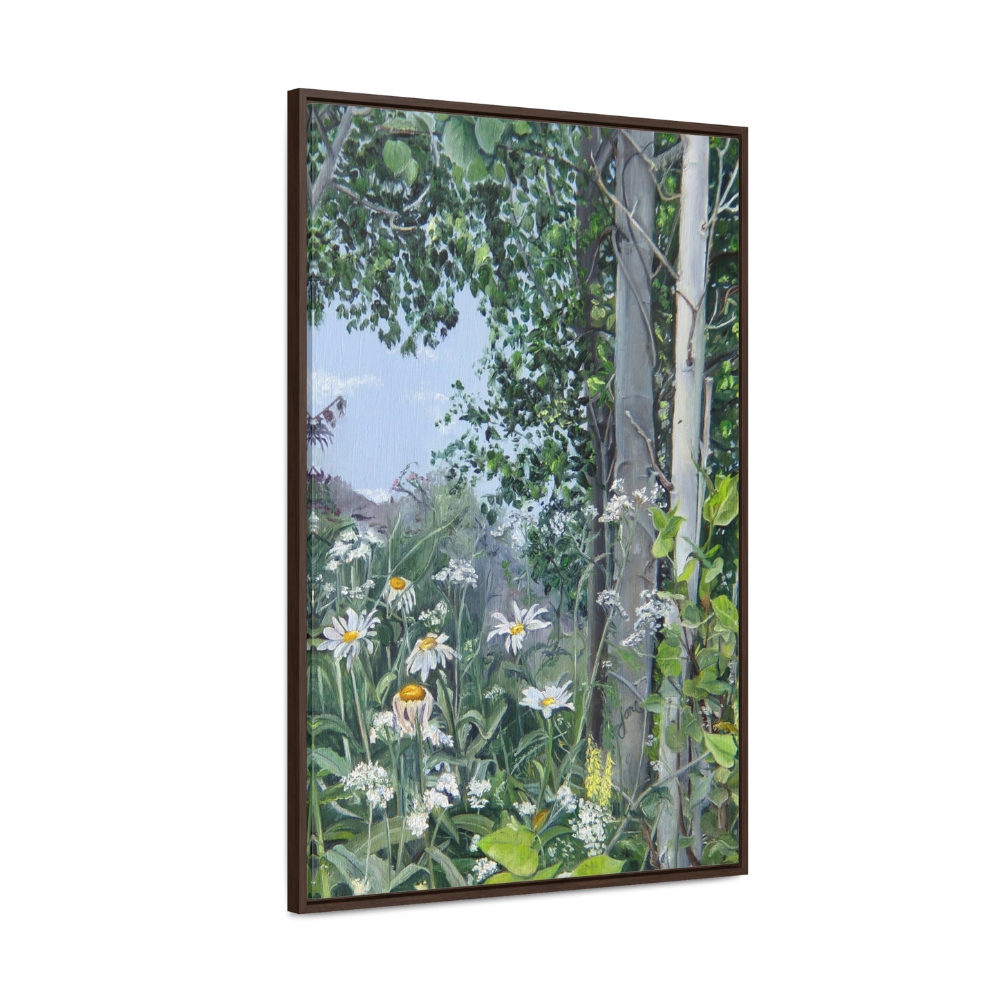 Quakies and Daisies by Jane Autry, Canvas Gallery Wrap