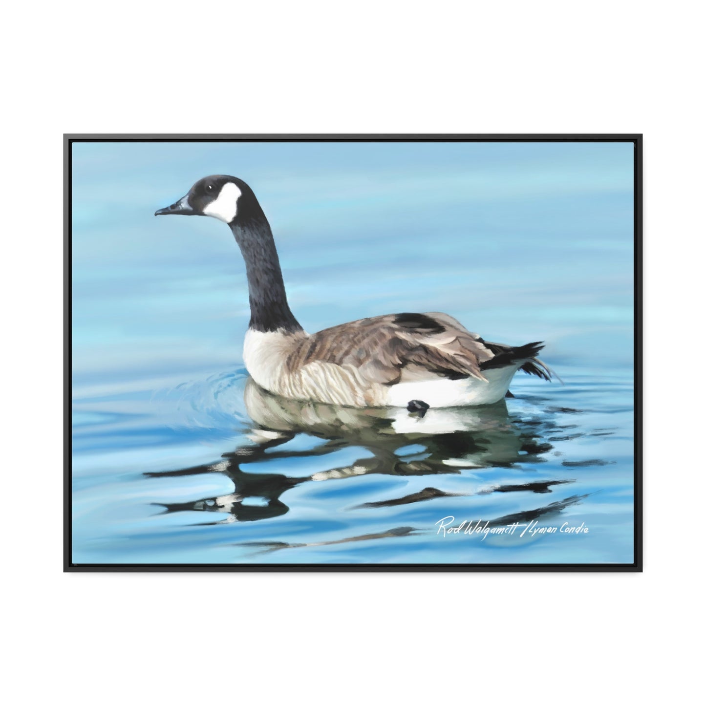 Stretched Canvas Print in Wood Frame, Canada Goose on Stansbury Lake , by Rod Walgamott