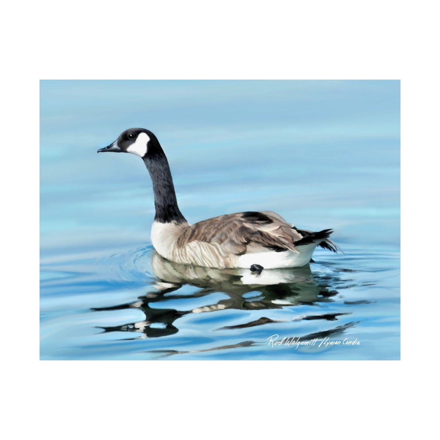 Premium Matte Print, Canada Goose on Stansbury Lake, by Rod Walgamott (Reference Photo by Lyman Condie)