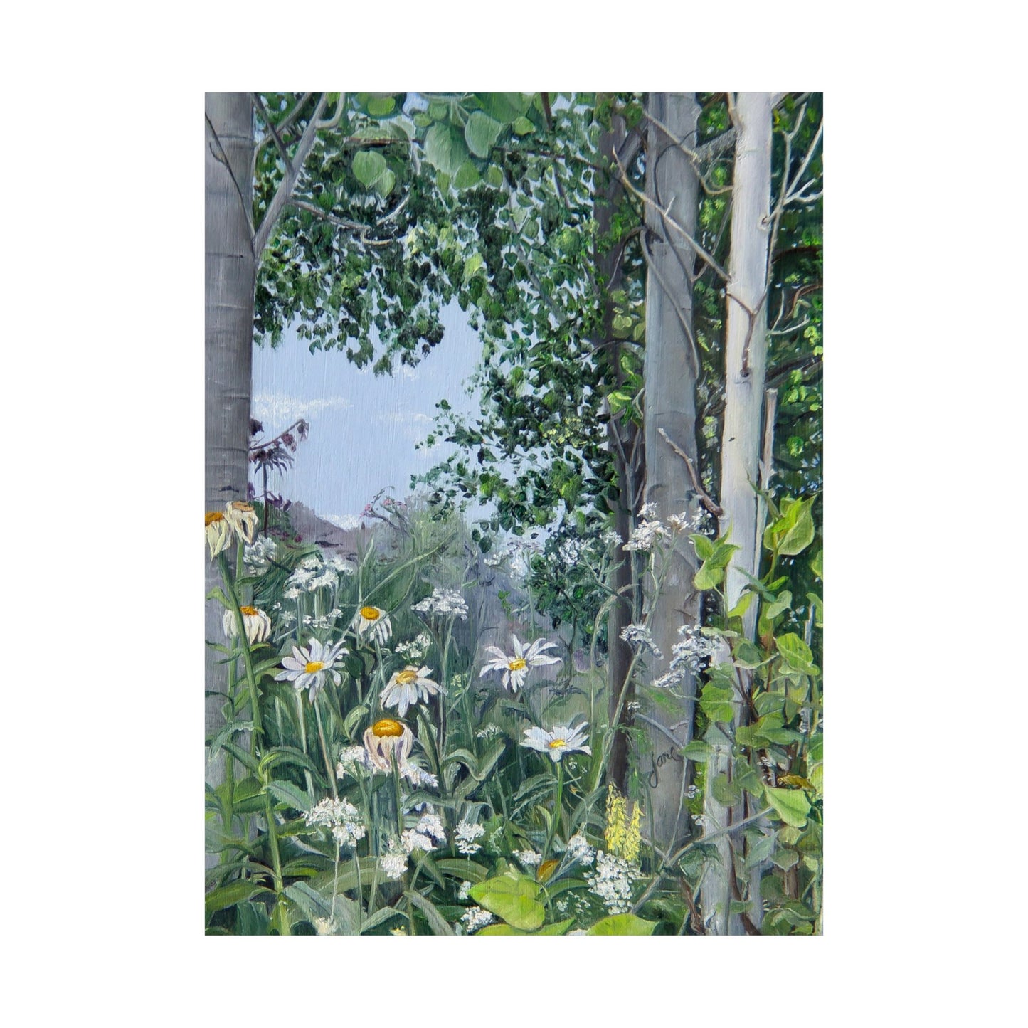 Quakies and Daisies by Jane Autry, Premium Matte Paper Print
