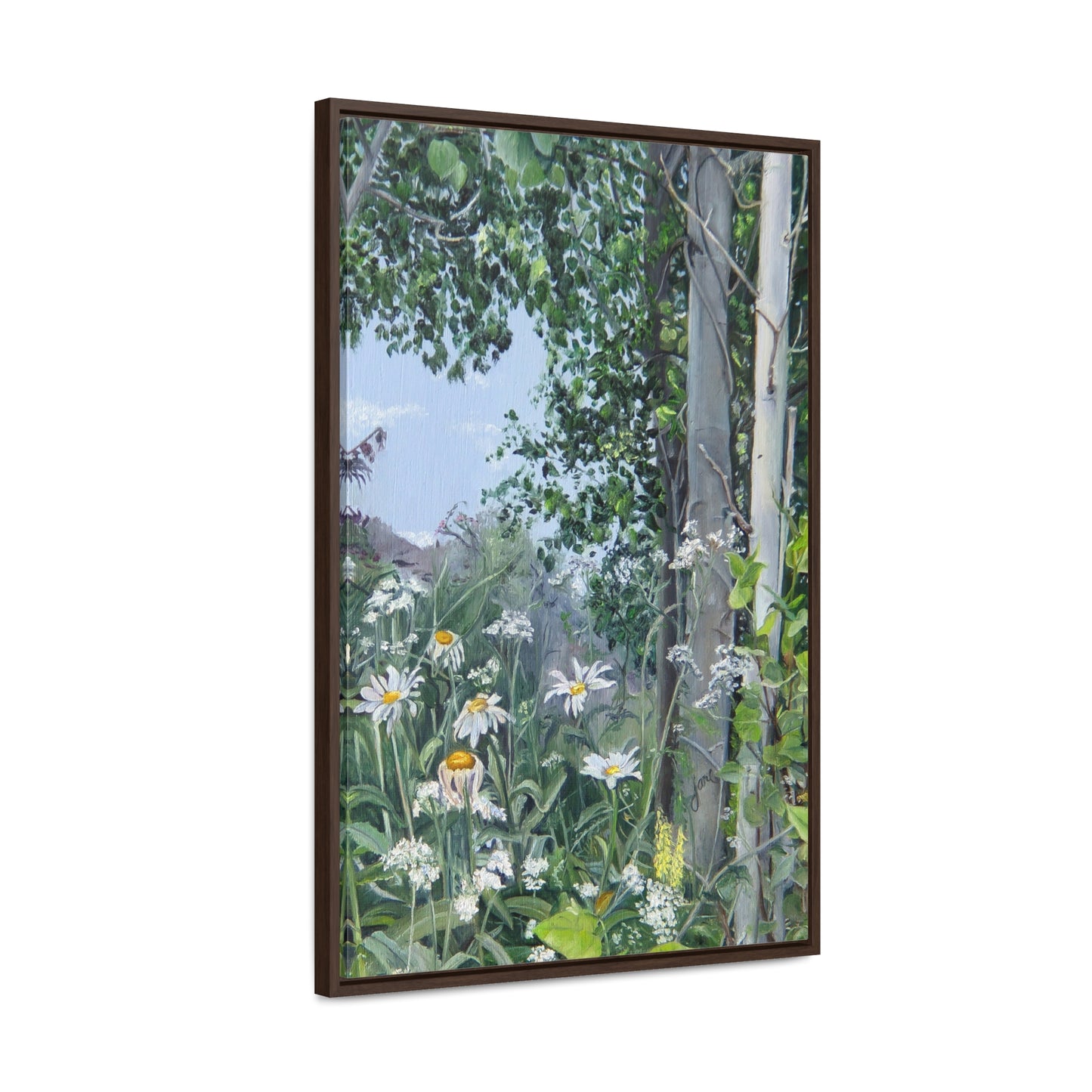 Quakies and Daisies by Jane Autry, Canvas Gallery Wrap