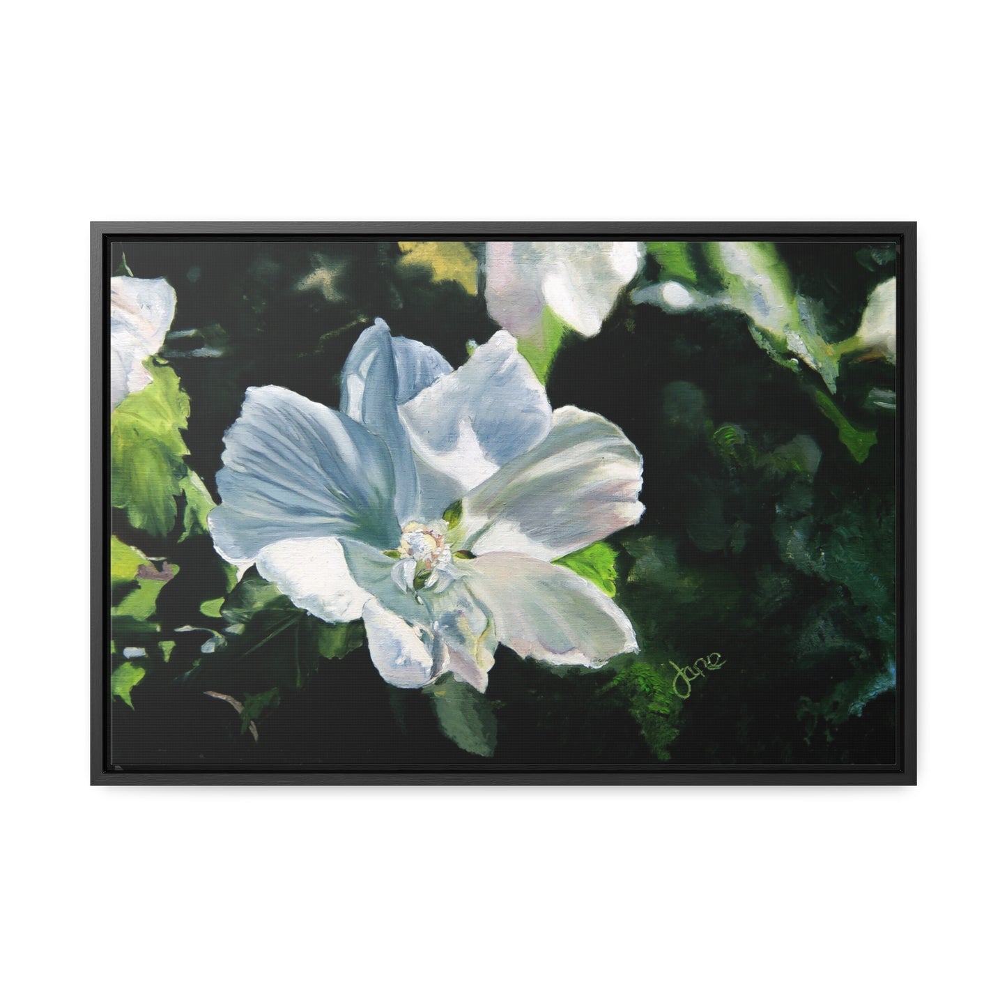 Stretched Canvas Wrap in Wood Frame, White Rose of Sharon by Jane Autry