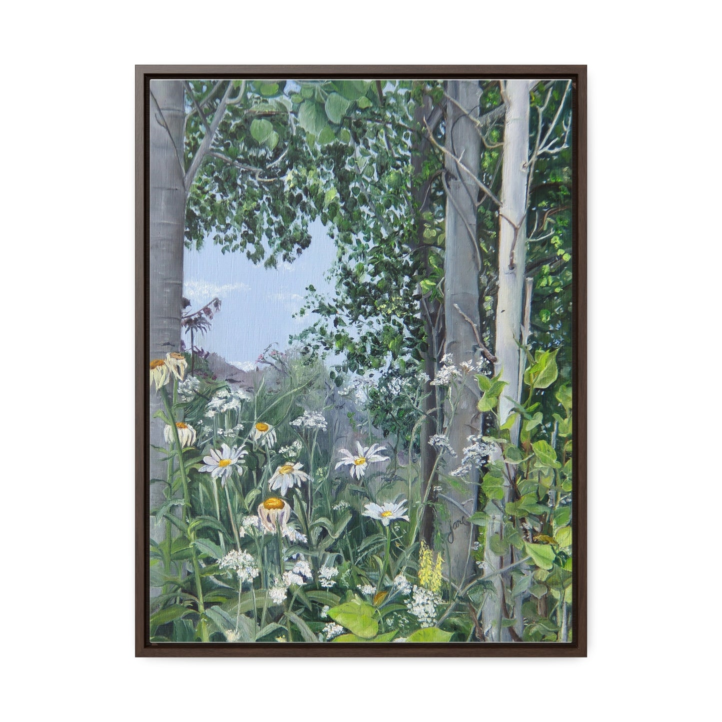 Quakies and Daisies by Jane Autry, Canvas Gallery Wrap