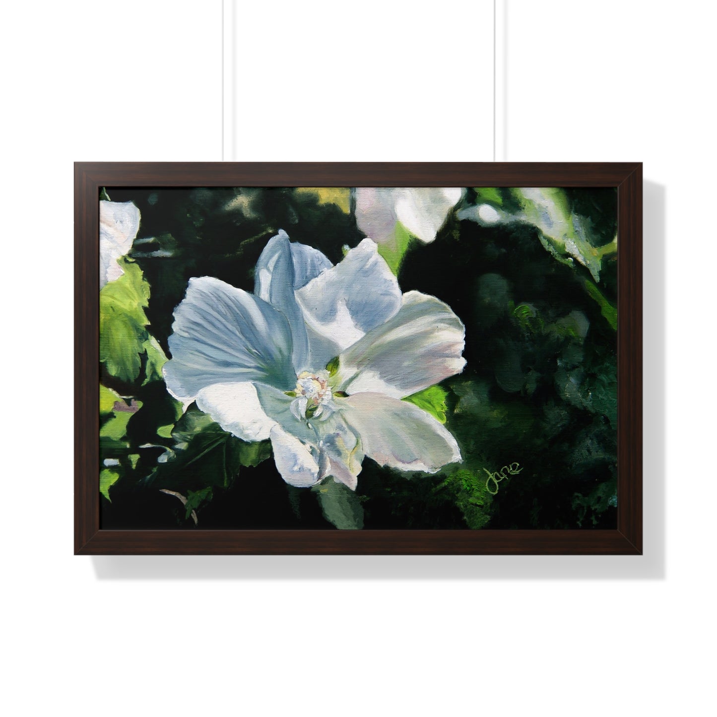 Premium Matte Print--Framed, White Rose of Sharon by Jane Autry