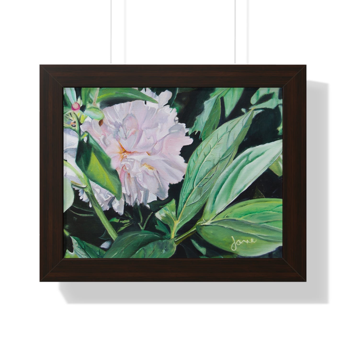 Premium Matte Print--Framed, Shy Peone by Jane Autry