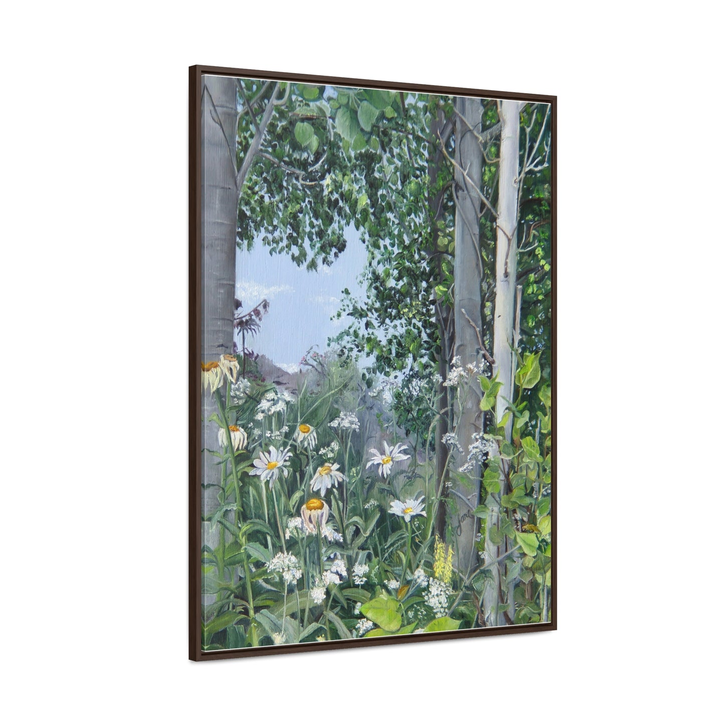 Quakies and Daisies by Jane Autry, Canvas Gallery Wrap