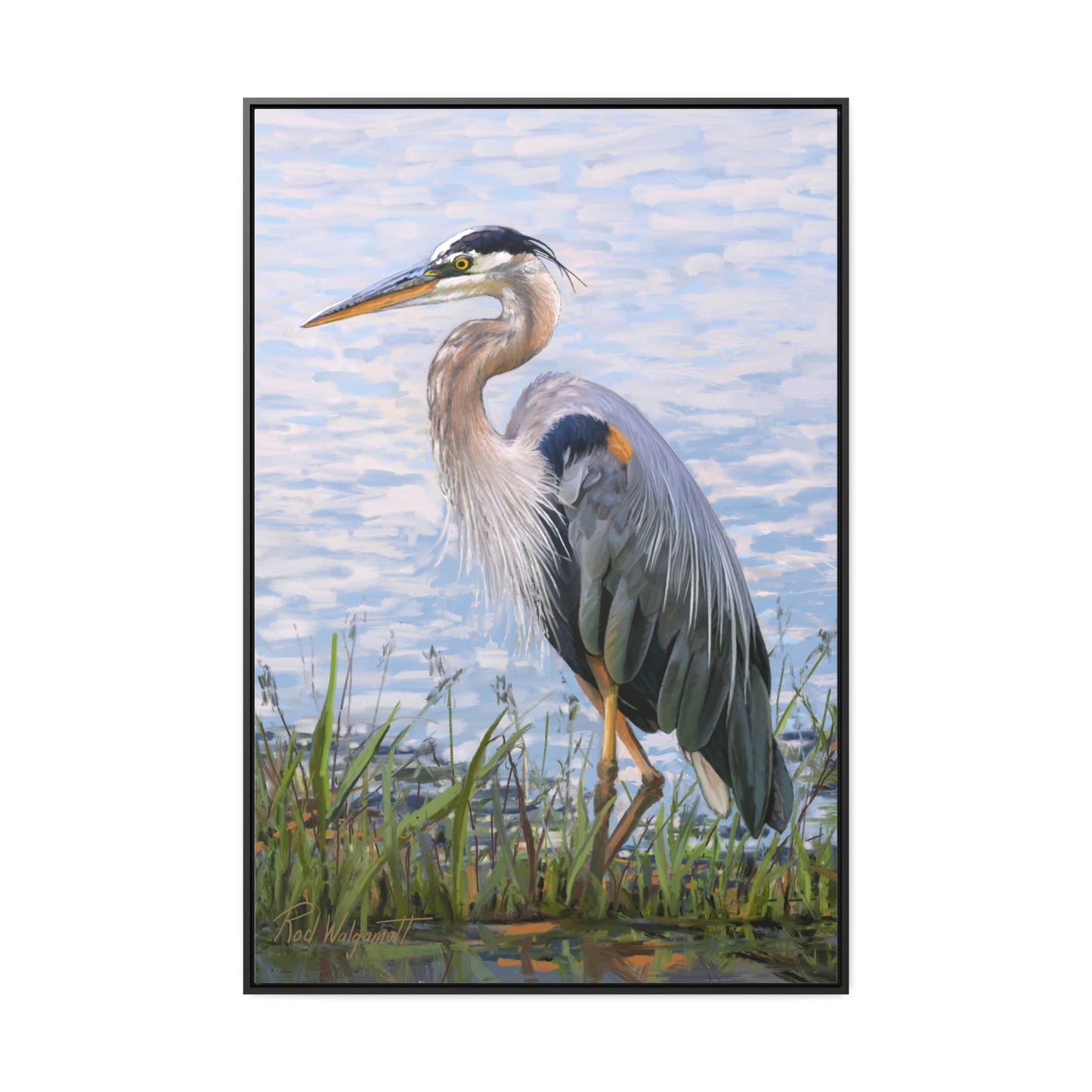 Framed canvas Wrap, Blue Heron at Stansbury Lake, by Rod Walgamott