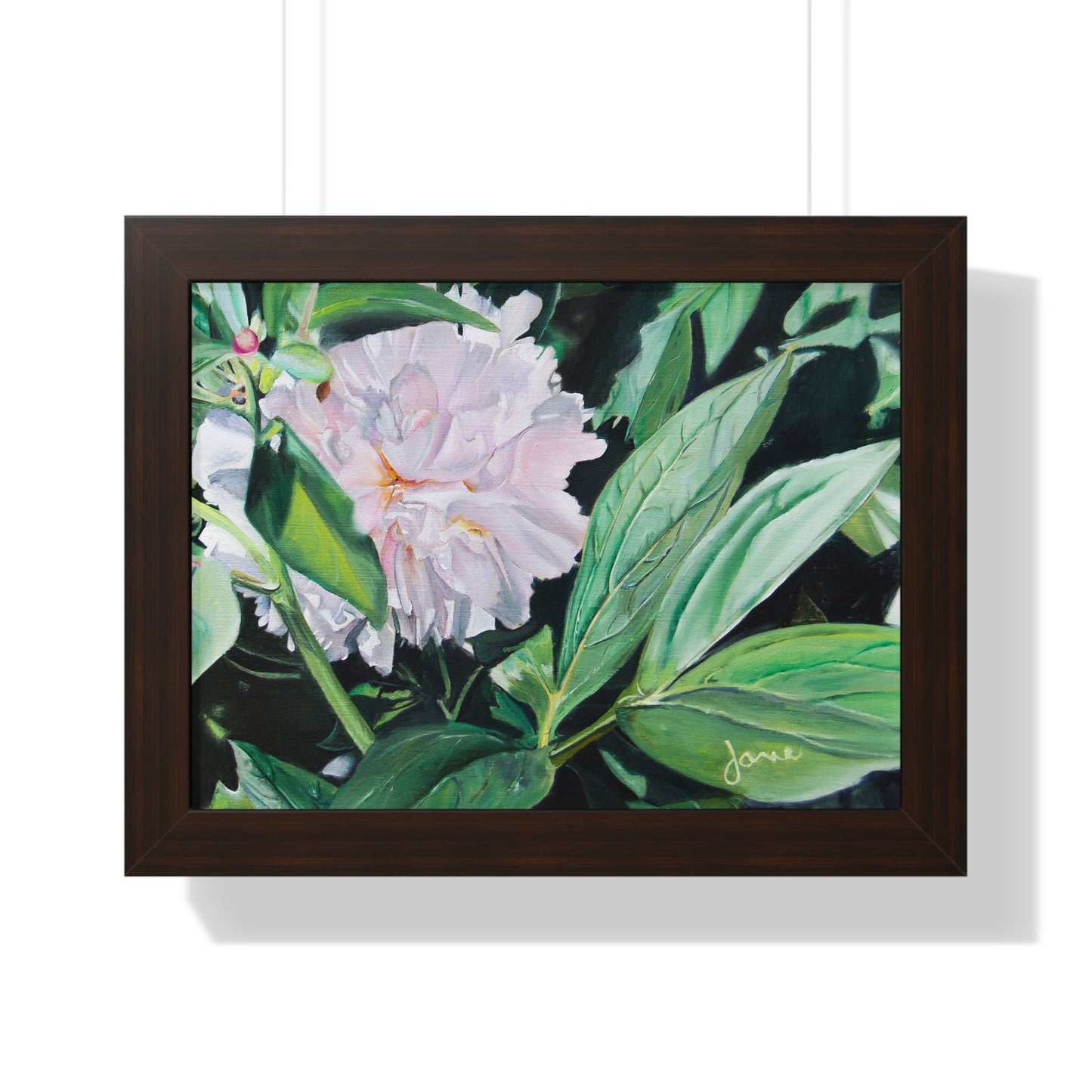 Premium Matte Print--Framed, Shy Peone by Jane Autry