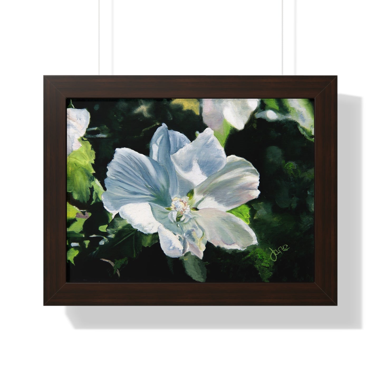 Premium Matte Print--Framed, White Rose of Sharon by Jane Autry