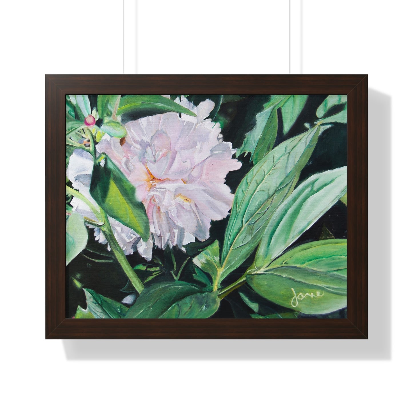 Premium Matte Print--Framed, Shy Peone by Jane Autry