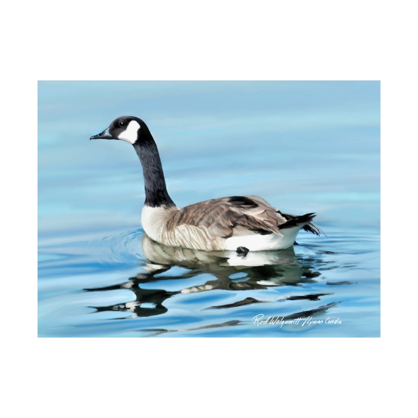 Premium Matte Print, Canada Goose on Stansbury Lake, by Rod Walgamott (Reference Photo by Lyman Condie)