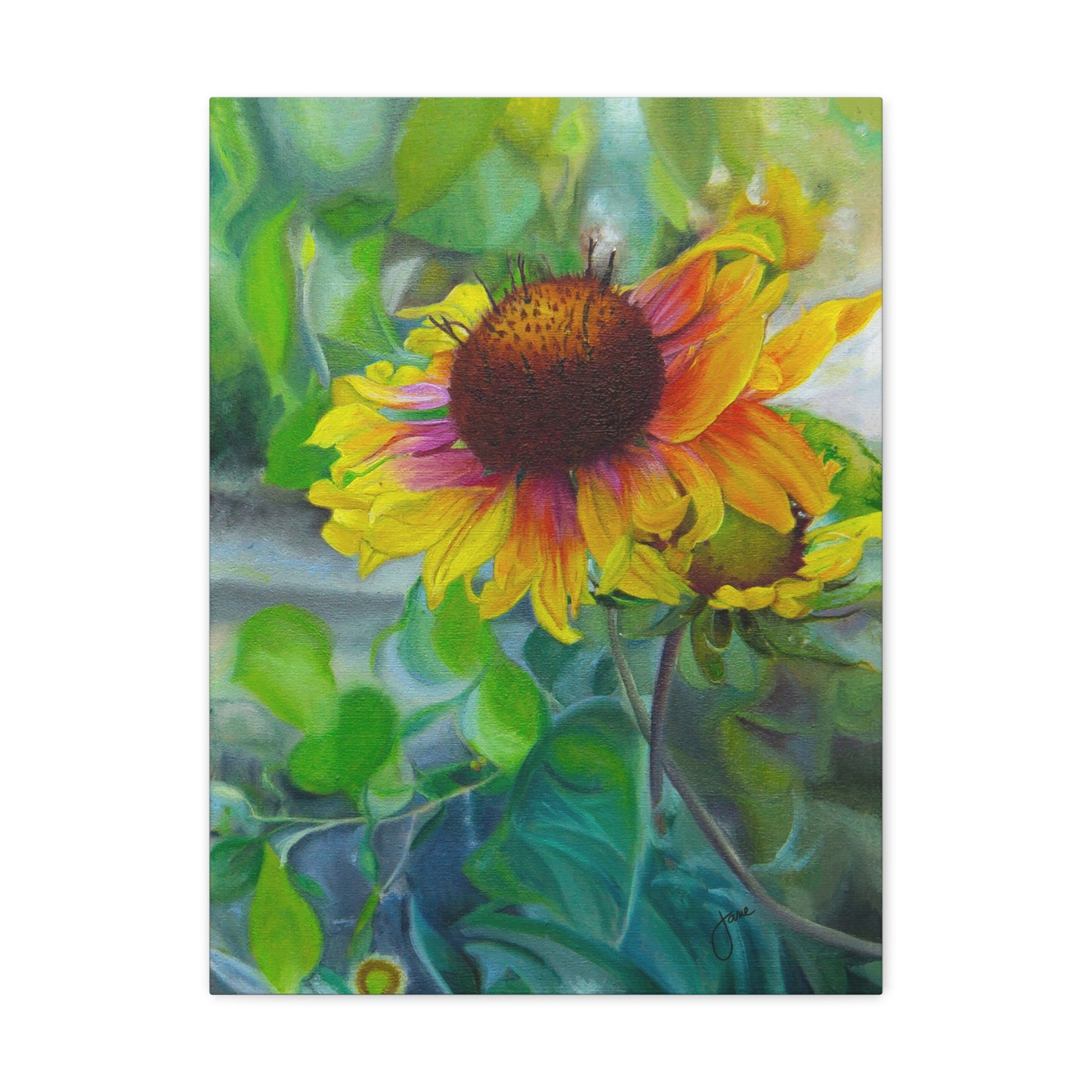 Indian Blanket Flower by Jane Autry, Canvas Gallery Wrap