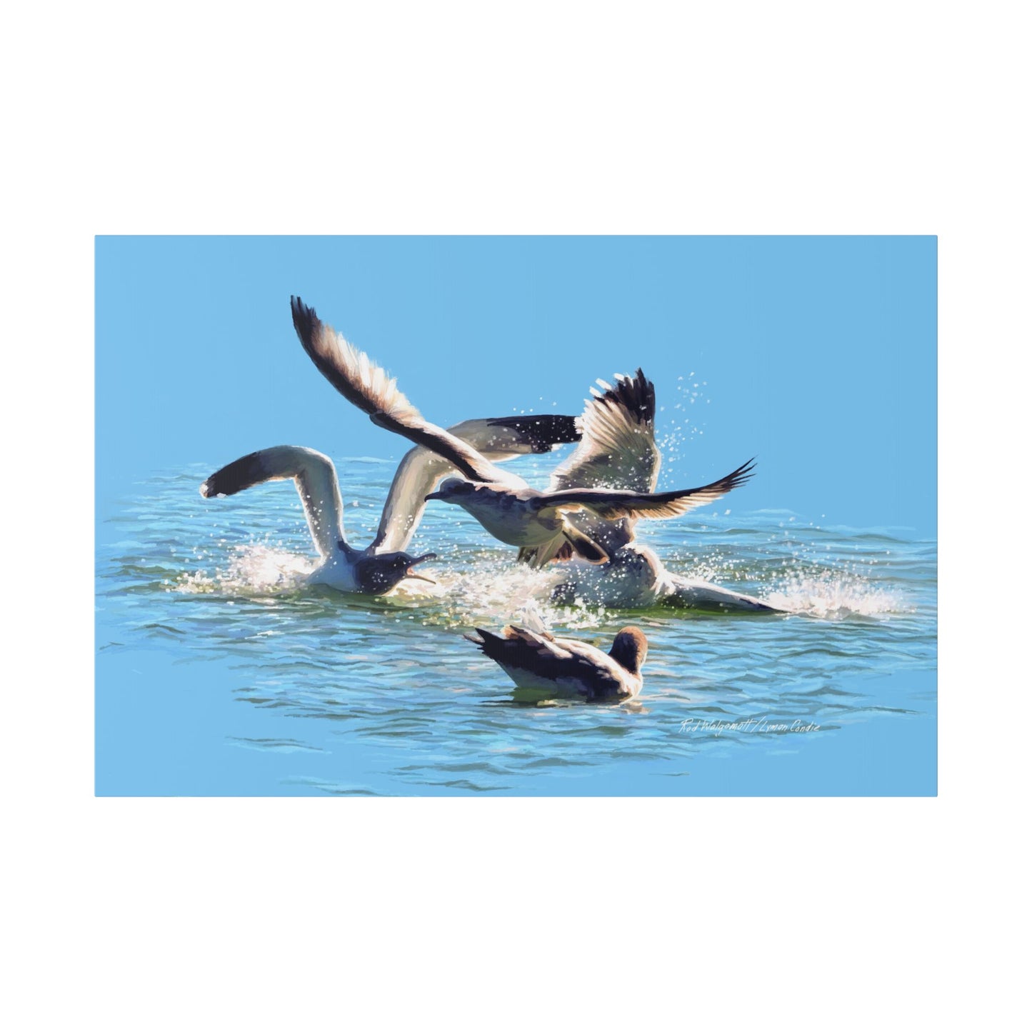 Classic Stretched Canvas, Gull Fight on Stansbury Lake, by Rod Walgamott