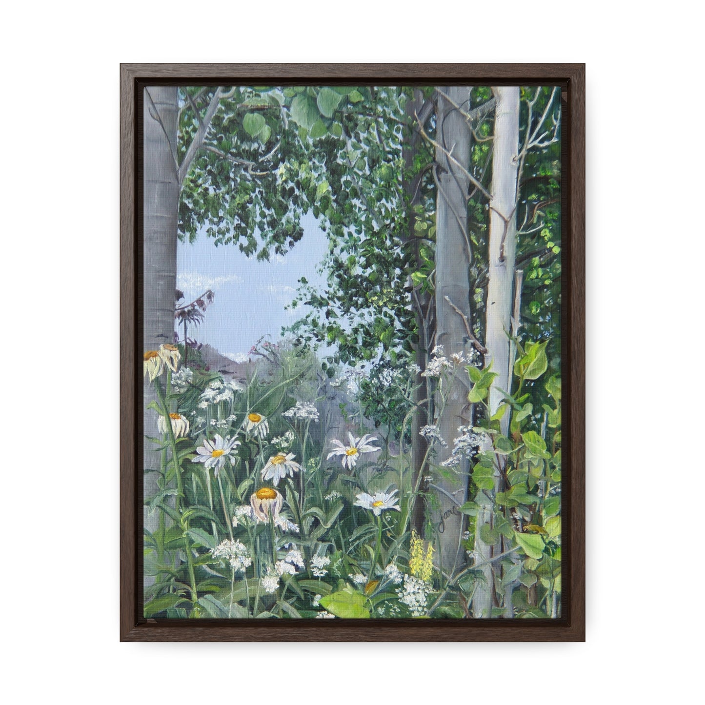 Quakies and Daisies by Jane Autry, Canvas Gallery Wrap