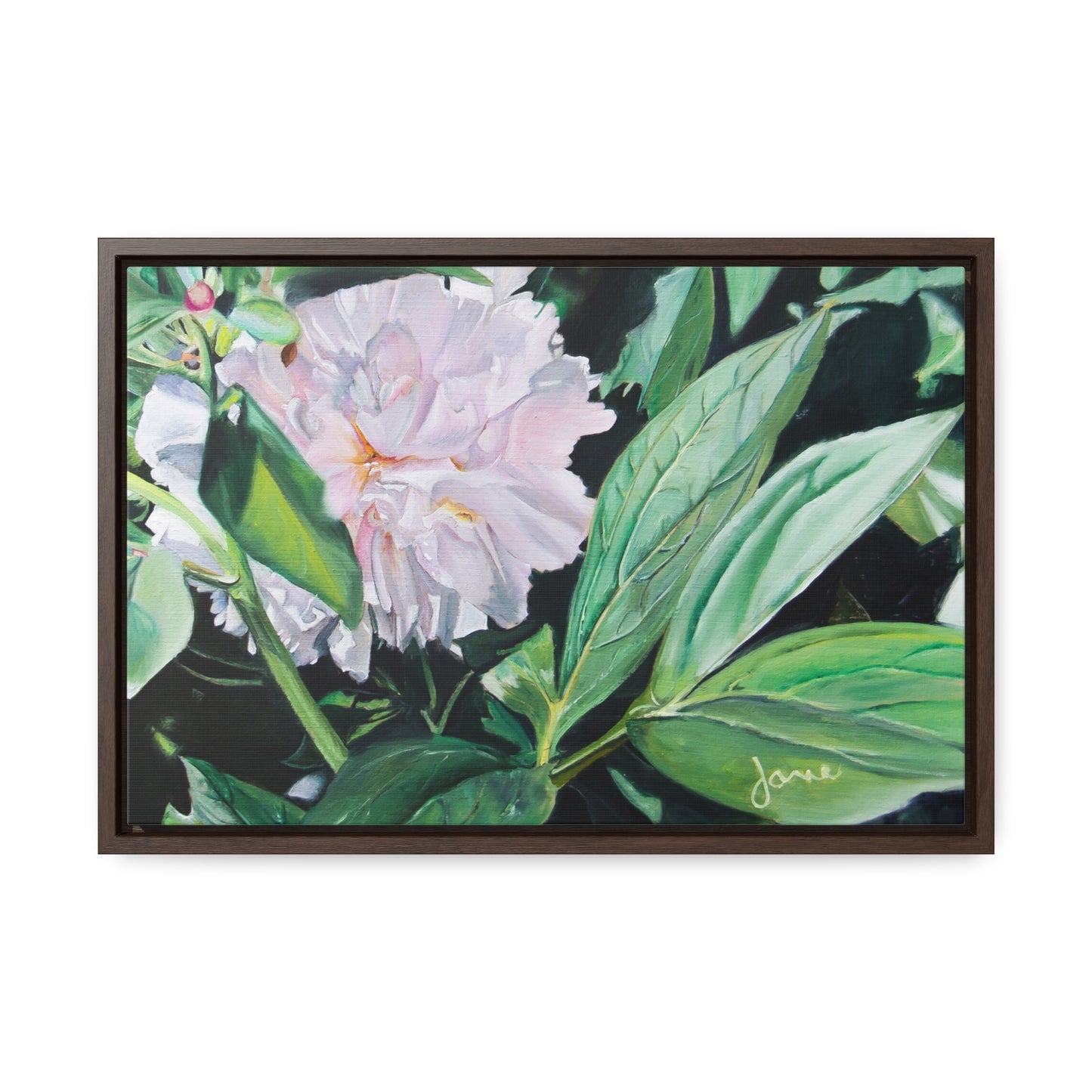 Stretched Canvas Wrap in Wood Frame, Shy Peone by Jane Autry