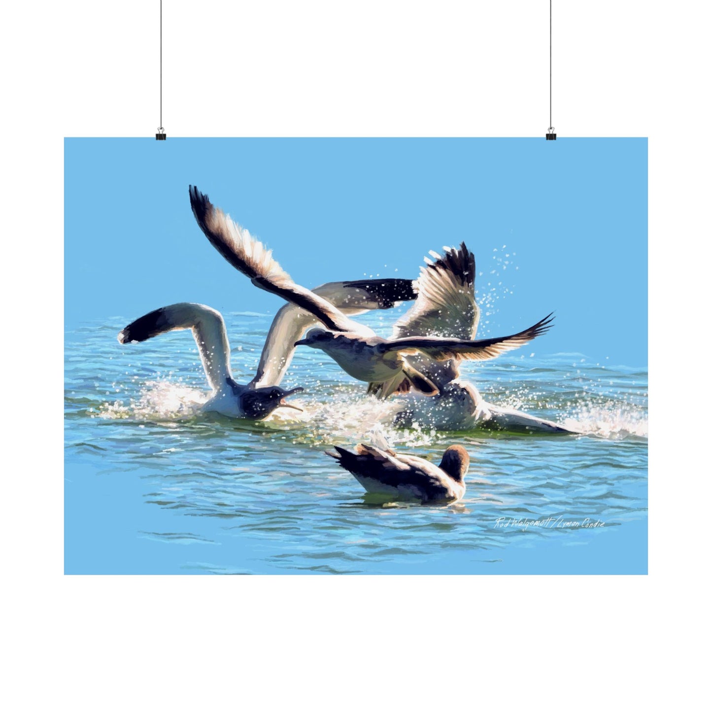 Premium Matte Print, Gull Fight on Stansbury Lake, by Rod Walgamott