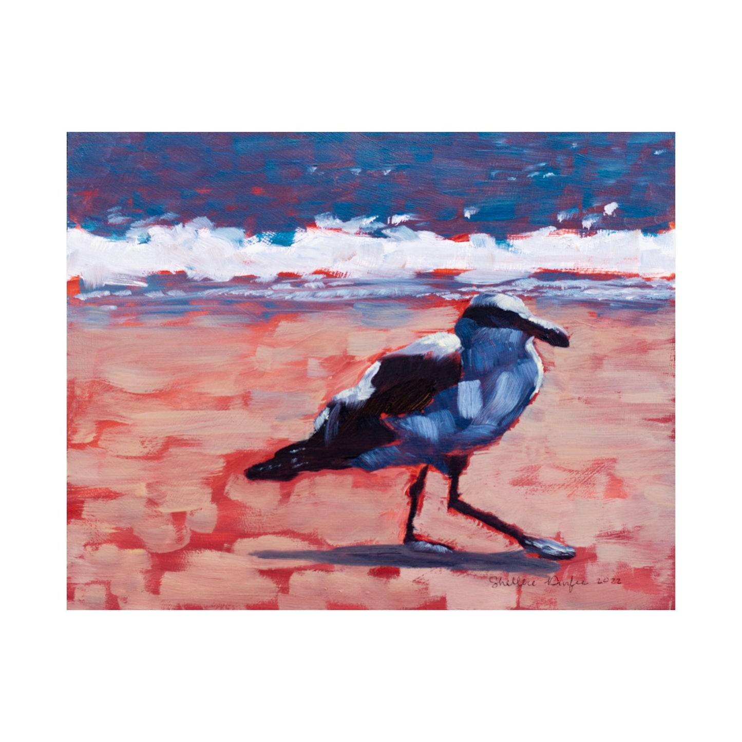 Premium Matte Print, Seagull, by Shellece Durfee