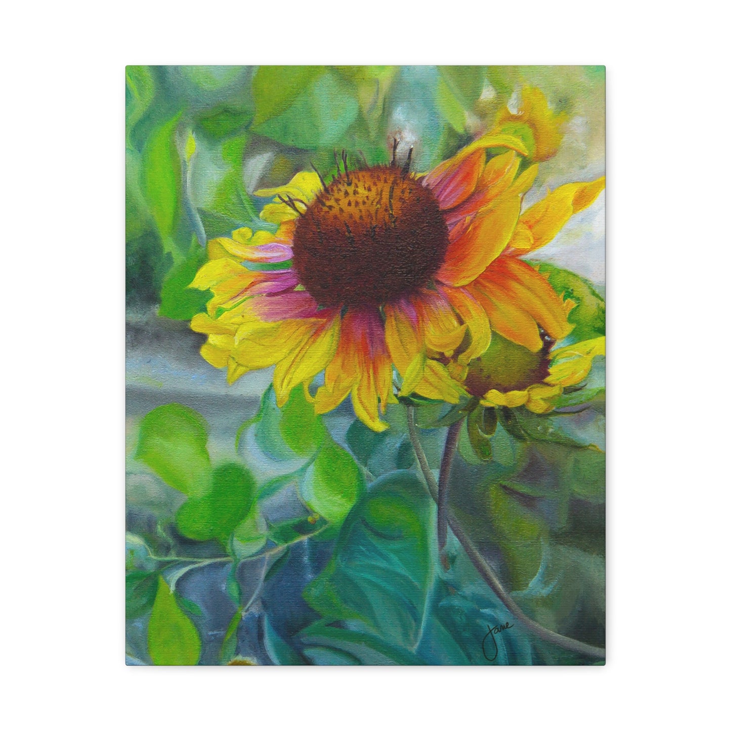 Indian Blanket Flower by Jane Autry, Canvas Gallery Wrap