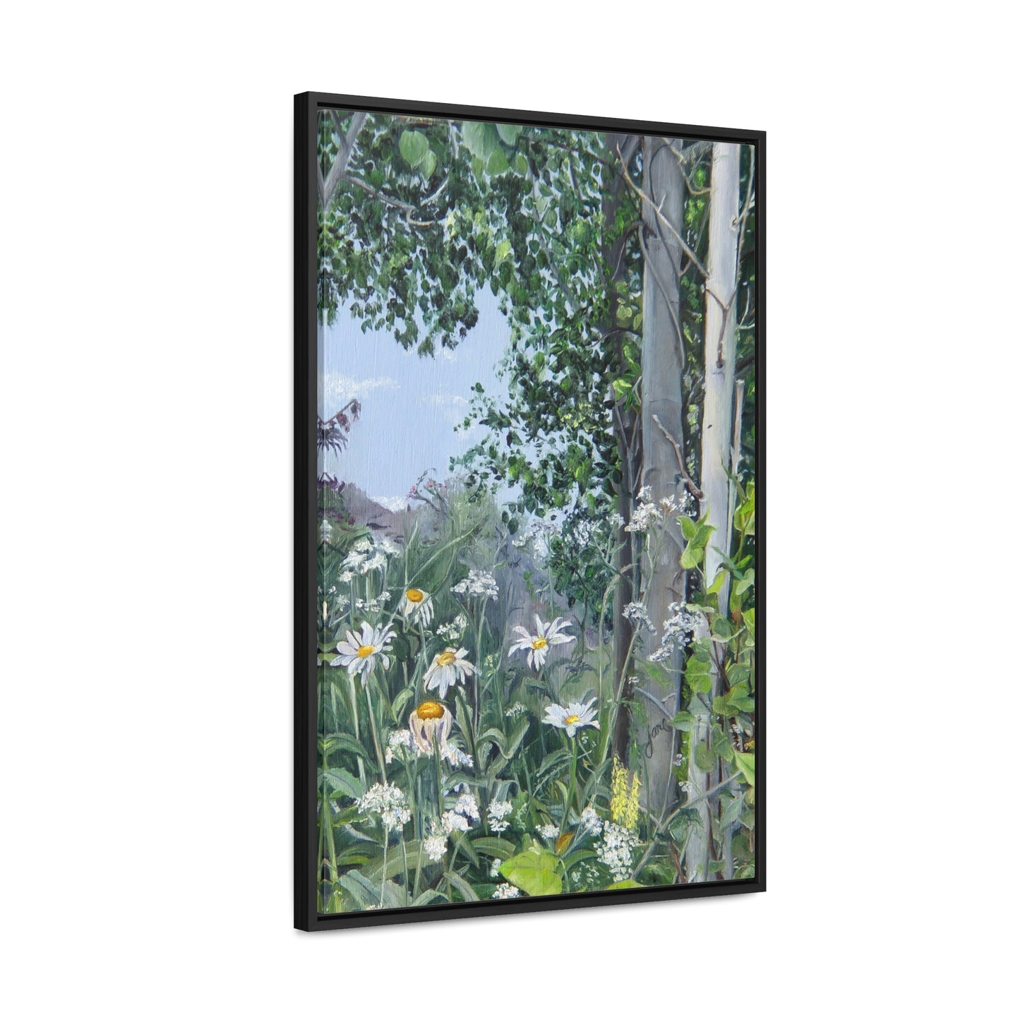 Quakies and Daisies by Jane Autry, Canvas Gallery Wrap