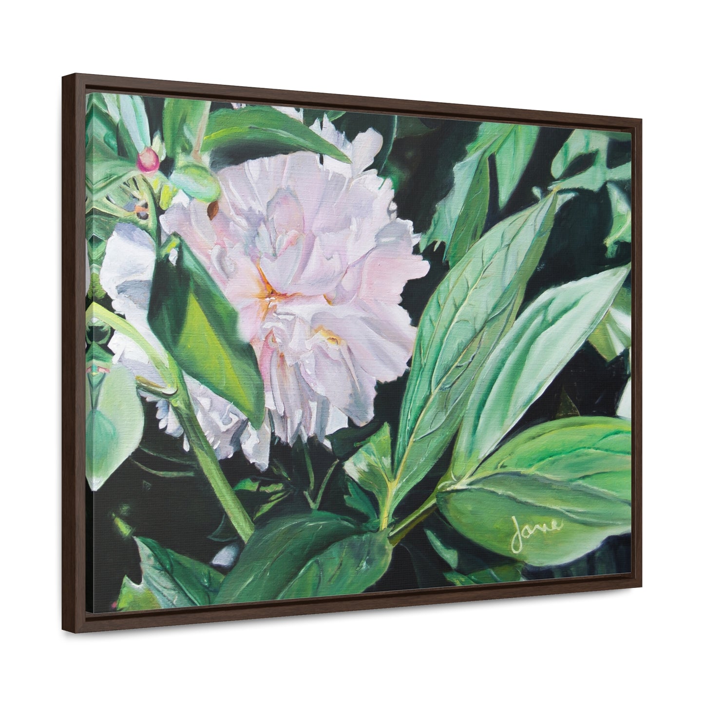 Stretched Canvas Wrap in Wood Frame, Shy Peone by Jane Autry