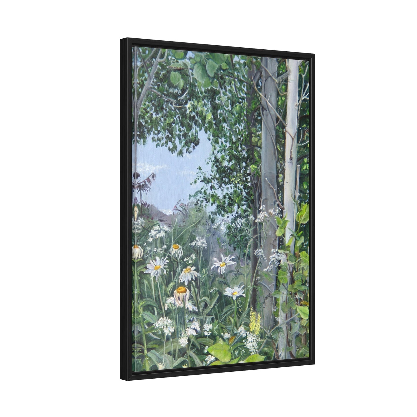 Quakies and Daisies by Jane Autry, Canvas Gallery Wrap
