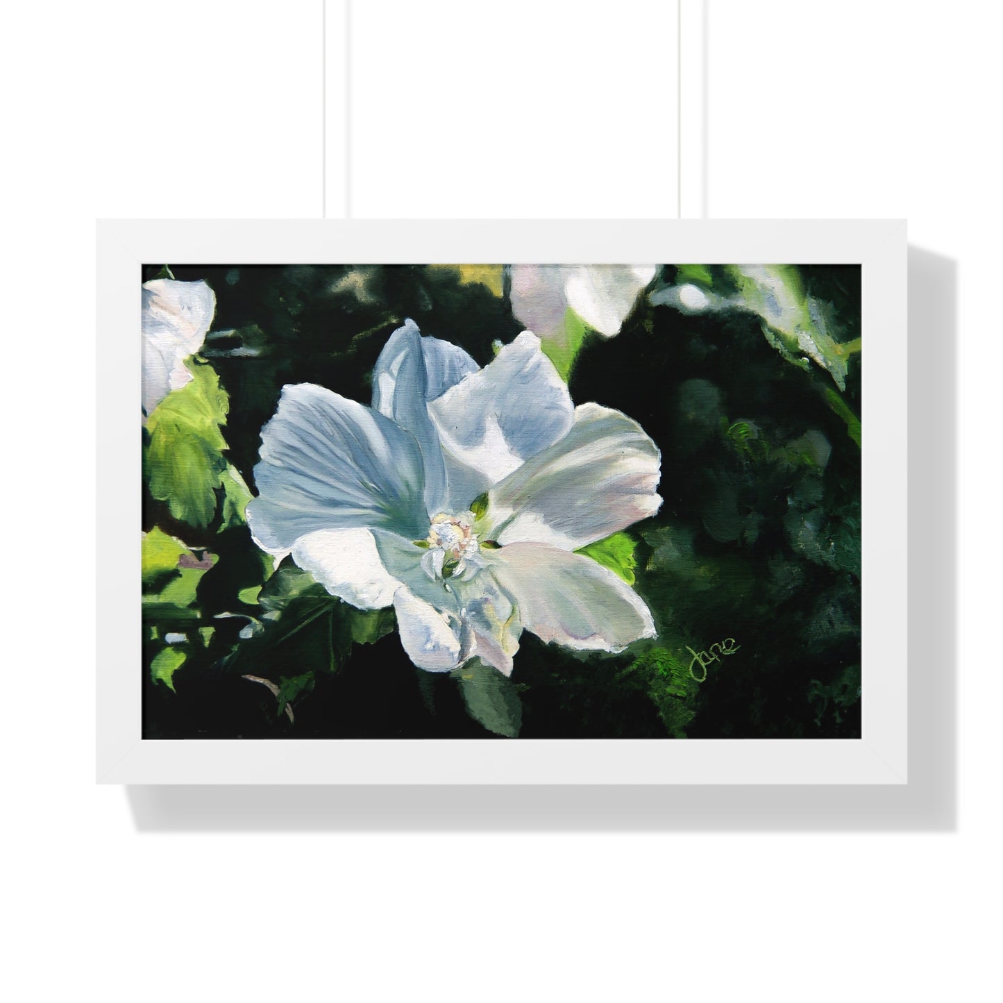 Premium Matte Print--Framed, White Rose of Sharon by Jane Autry