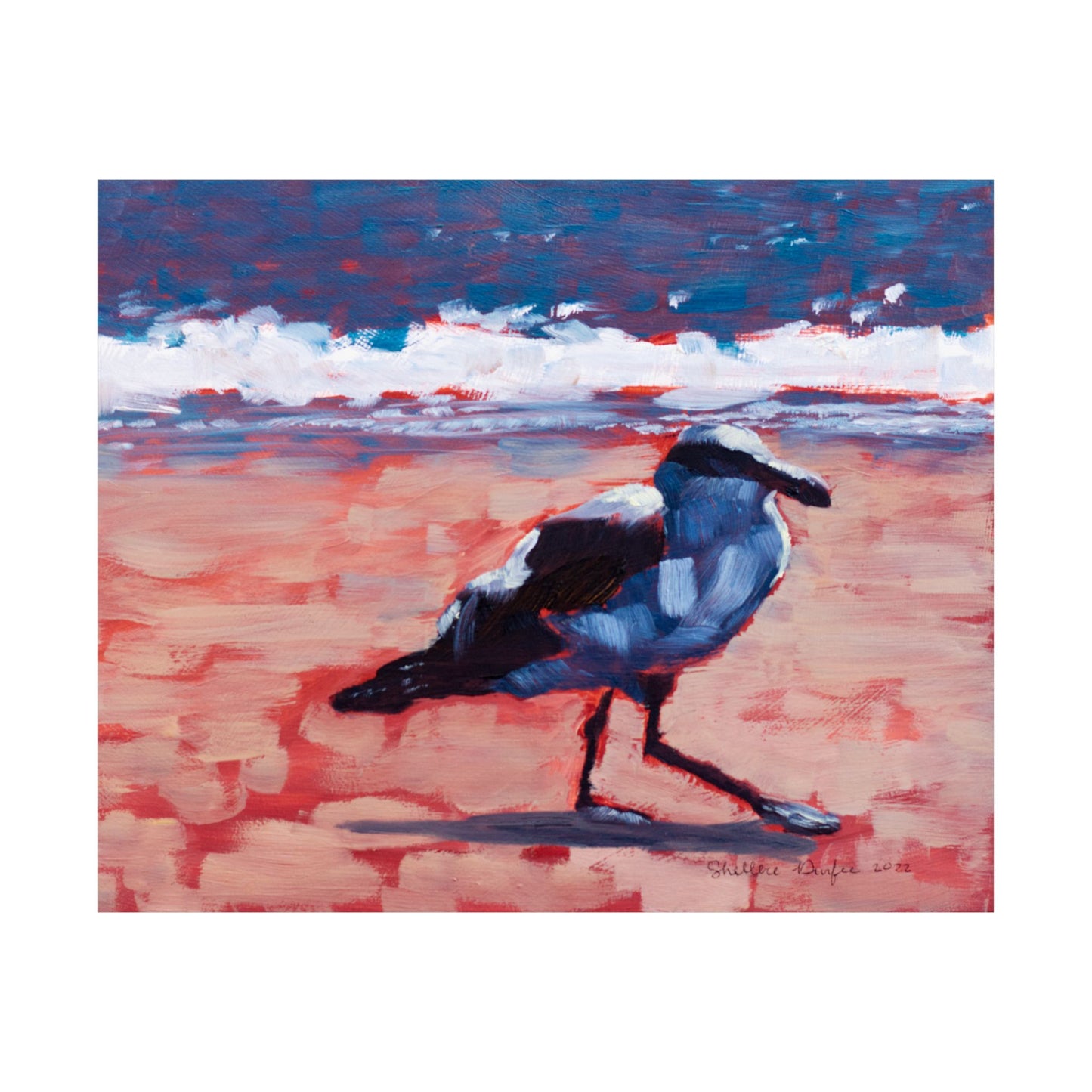 Premium Matte Print, Seagull, by Shellece Durfee