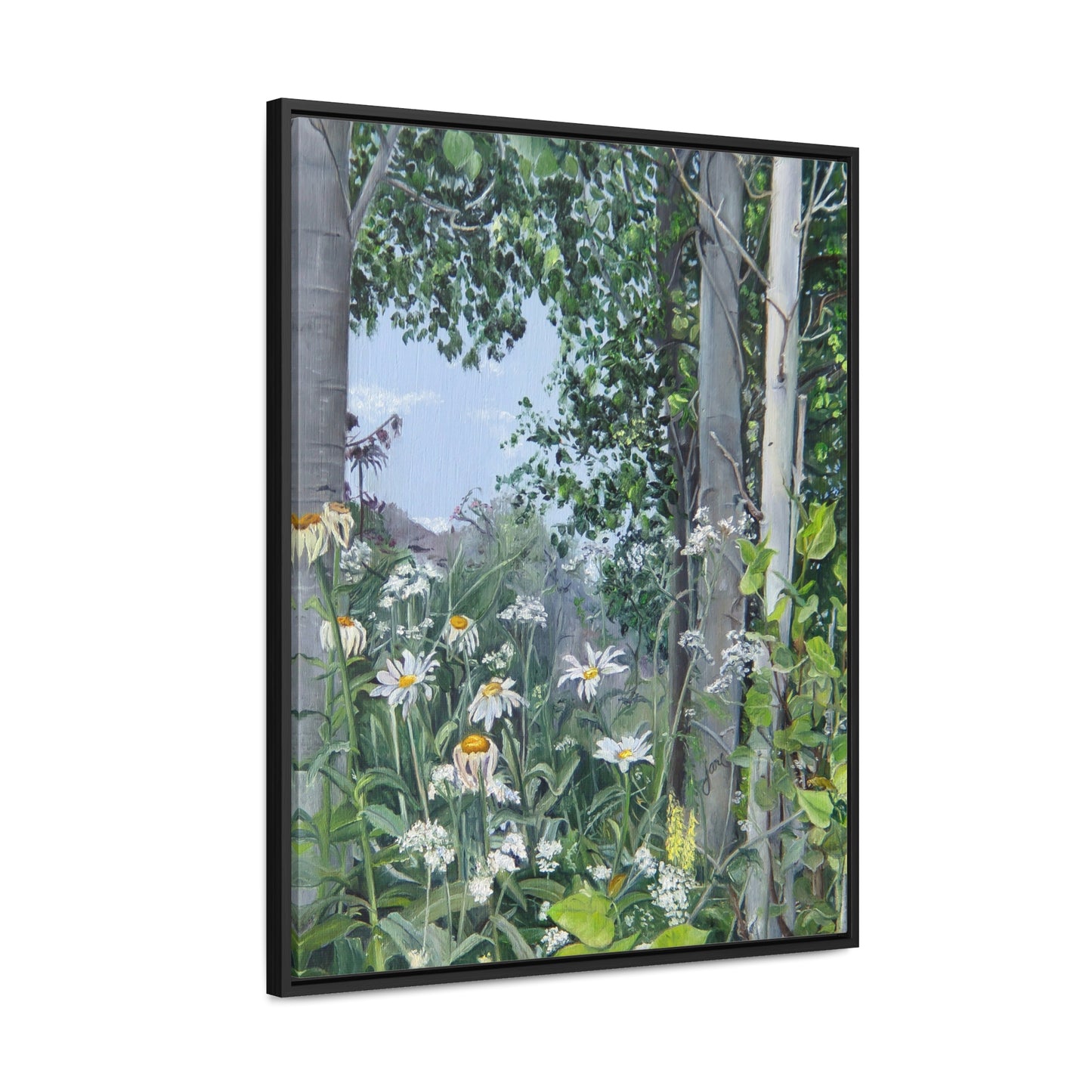 Quakies and Daisies by Jane Autry, Canvas Gallery Wrap