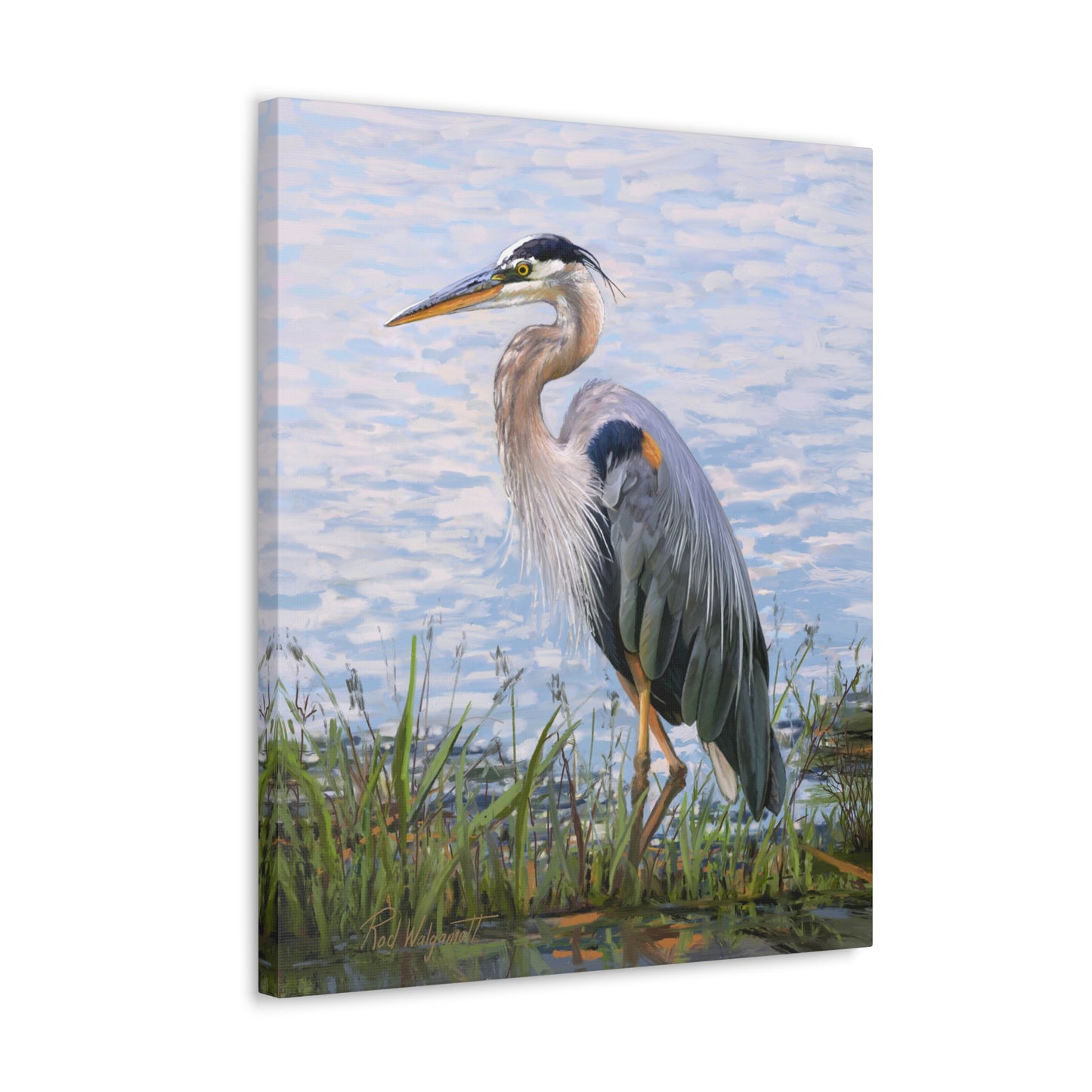 Gallery Wrap Canvas, Blue Heron at Stansbury Lake by Rod Walgamott
