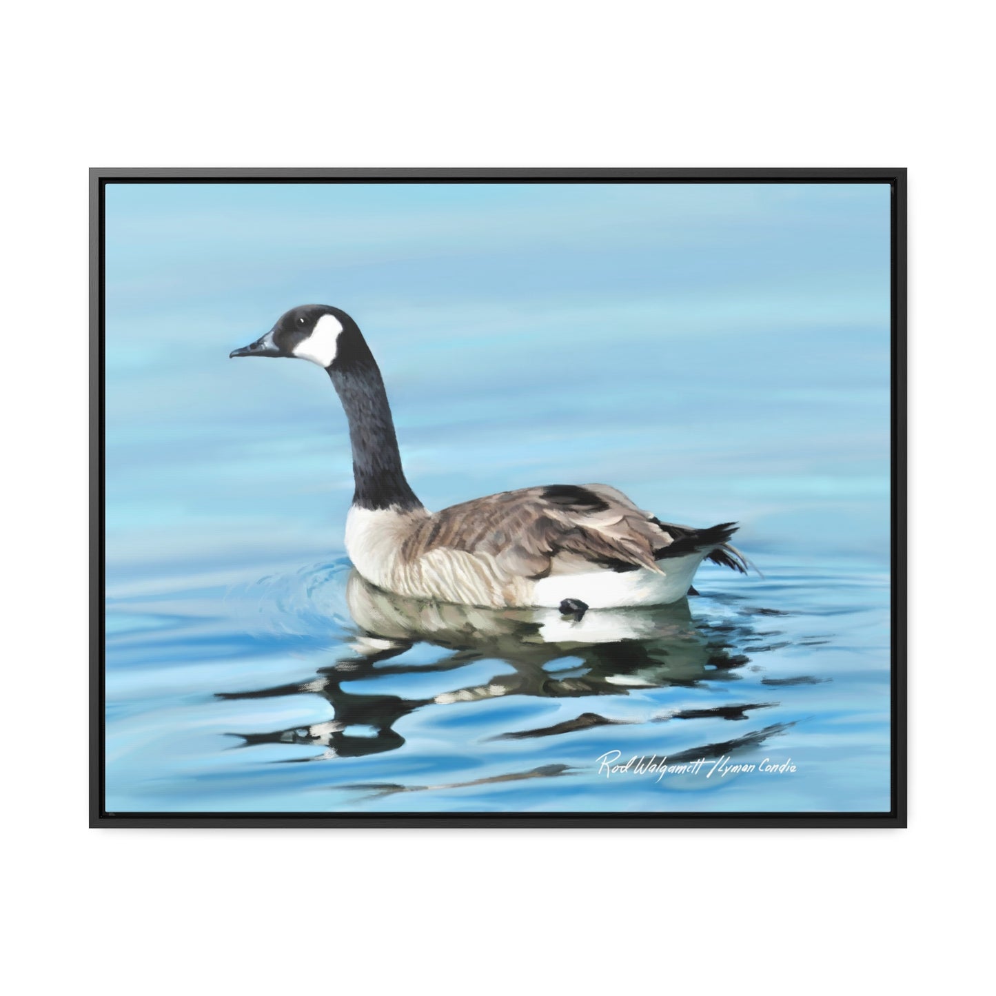 Stretched Canvas Print in Wood Frame, Canada Goose on Stansbury Lake , by Rod Walgamott