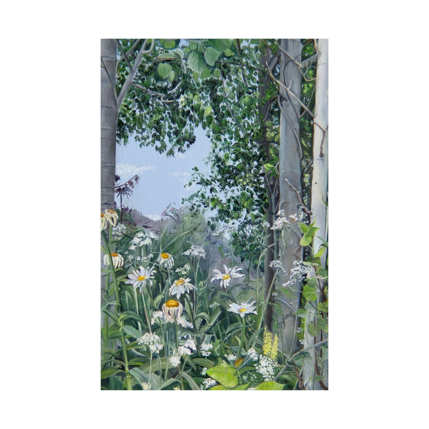 Quakies and Daisies by Jane Autry, Premium Matte Paper Print