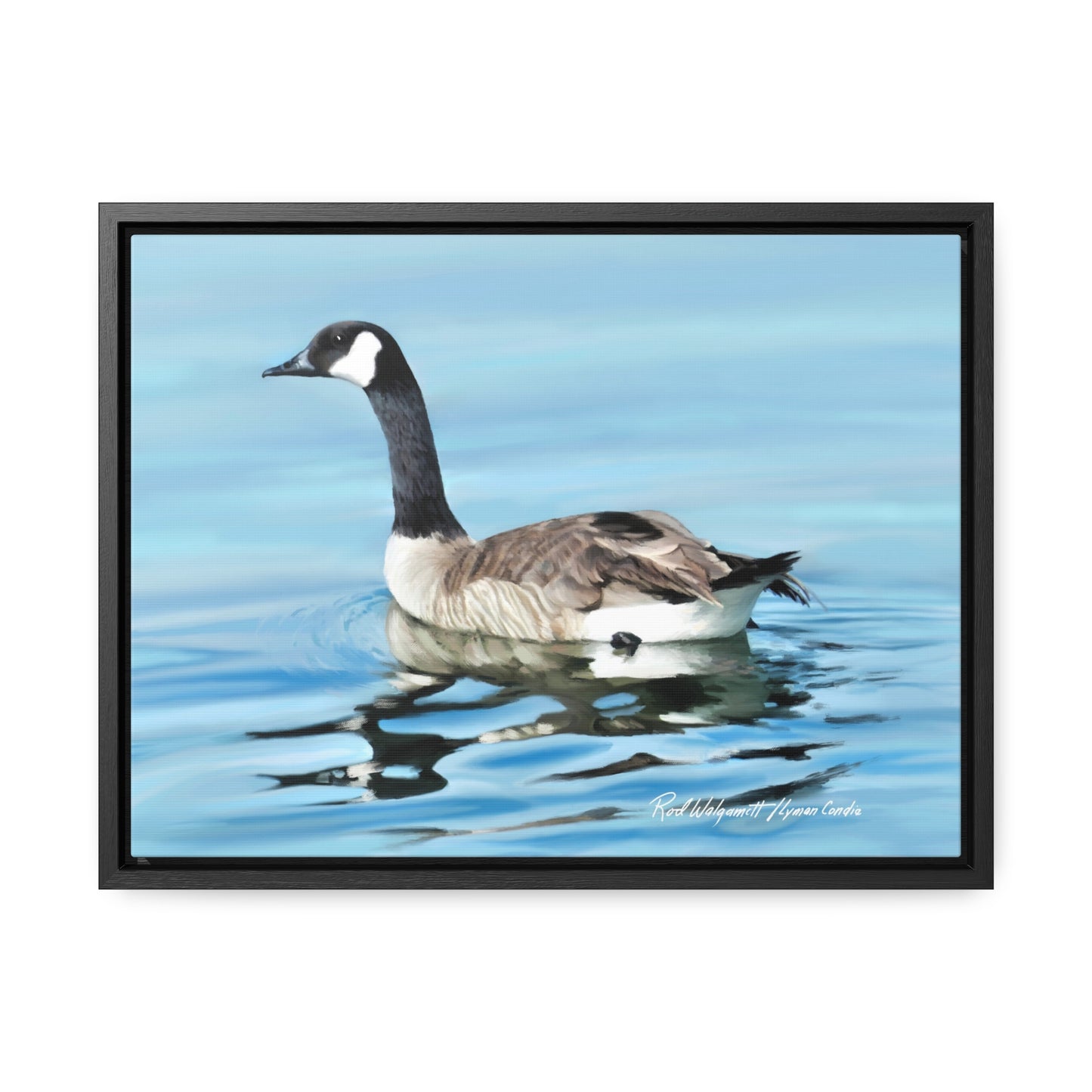 Stretched Canvas Print in Wood Frame, Canada Goose on Stansbury Lake , by Rod Walgamott