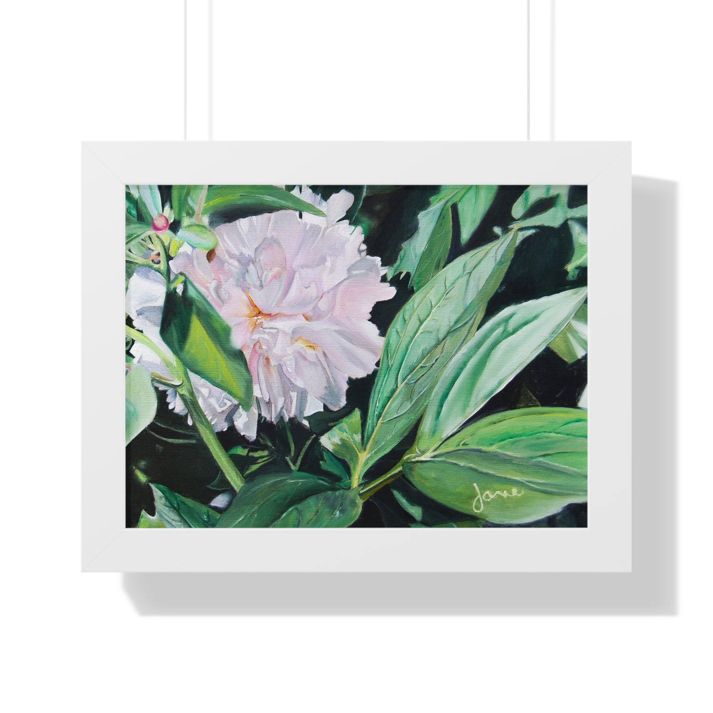 Premium Matte Print--Framed, Shy Peone by Jane Autry