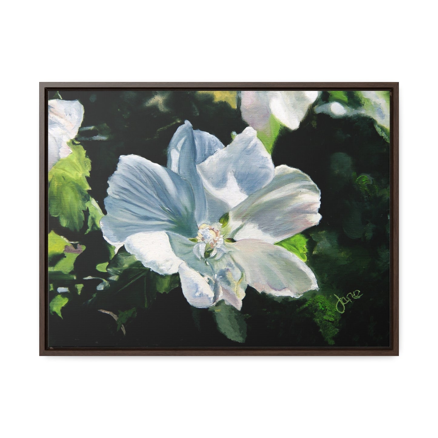 Stretched Canvas Wrap in Wood Frame, White Rose of Sharon by Jane Autry
