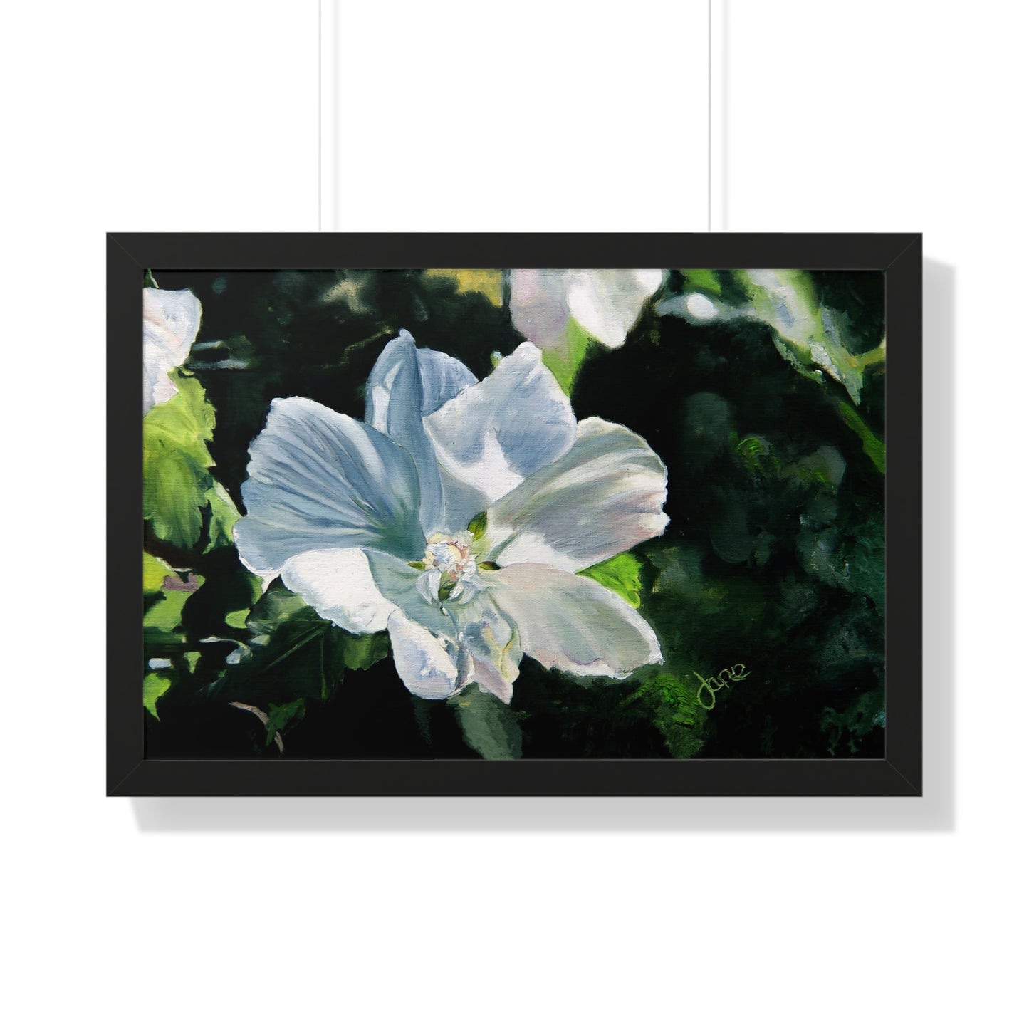 Premium Matte Print--Framed, White Rose of Sharon by Jane Autry