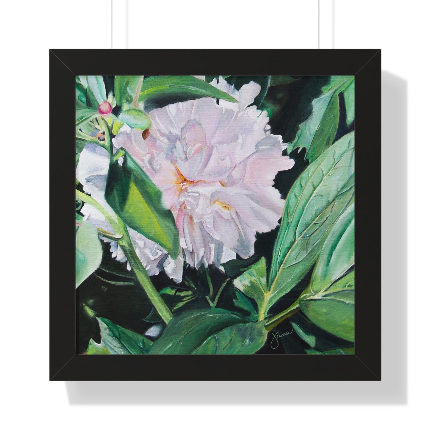 Premium Matte Print--Framed, Shy Peone by Jane Autry